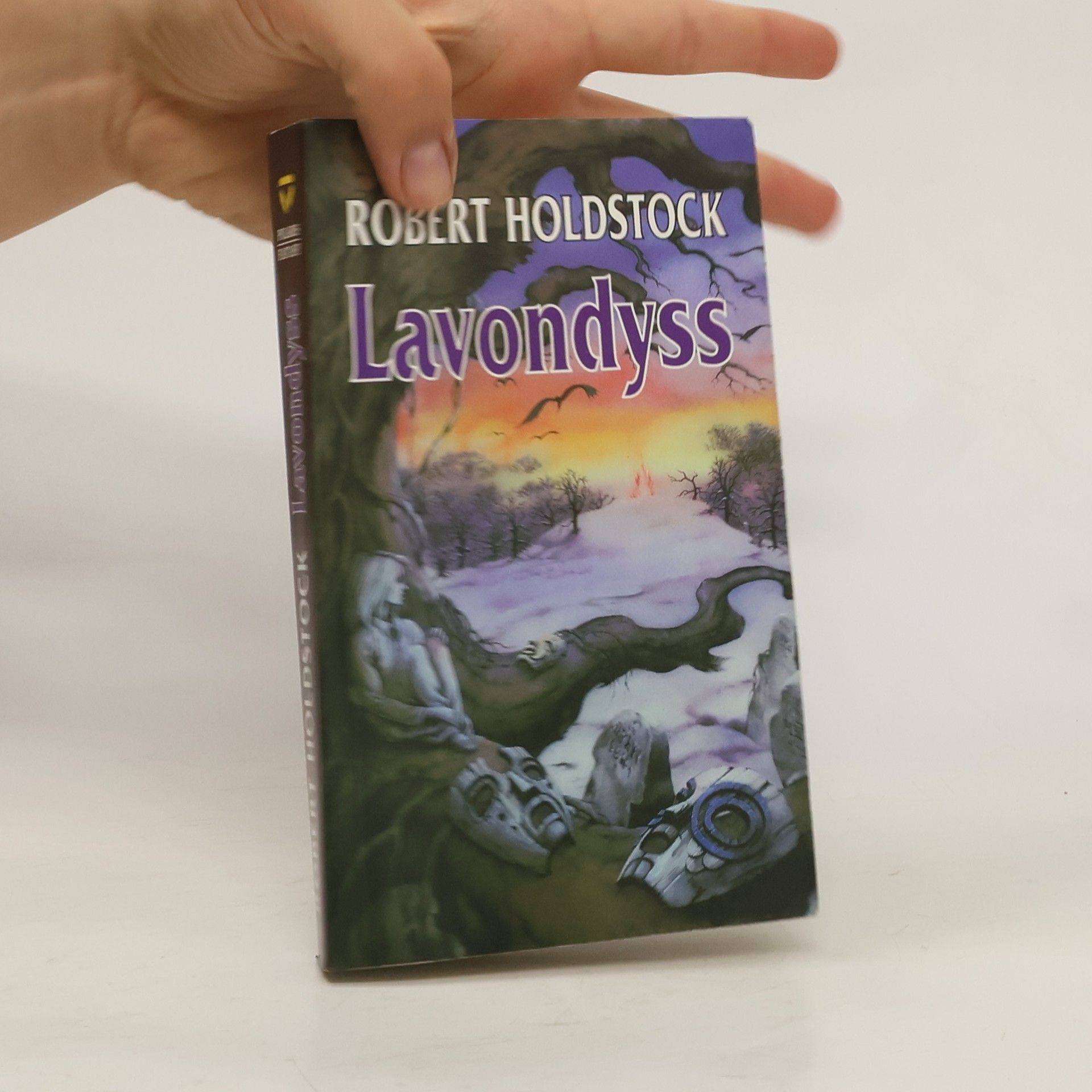 Robert Holdstock Lavondyss : cesta do neznámé země
