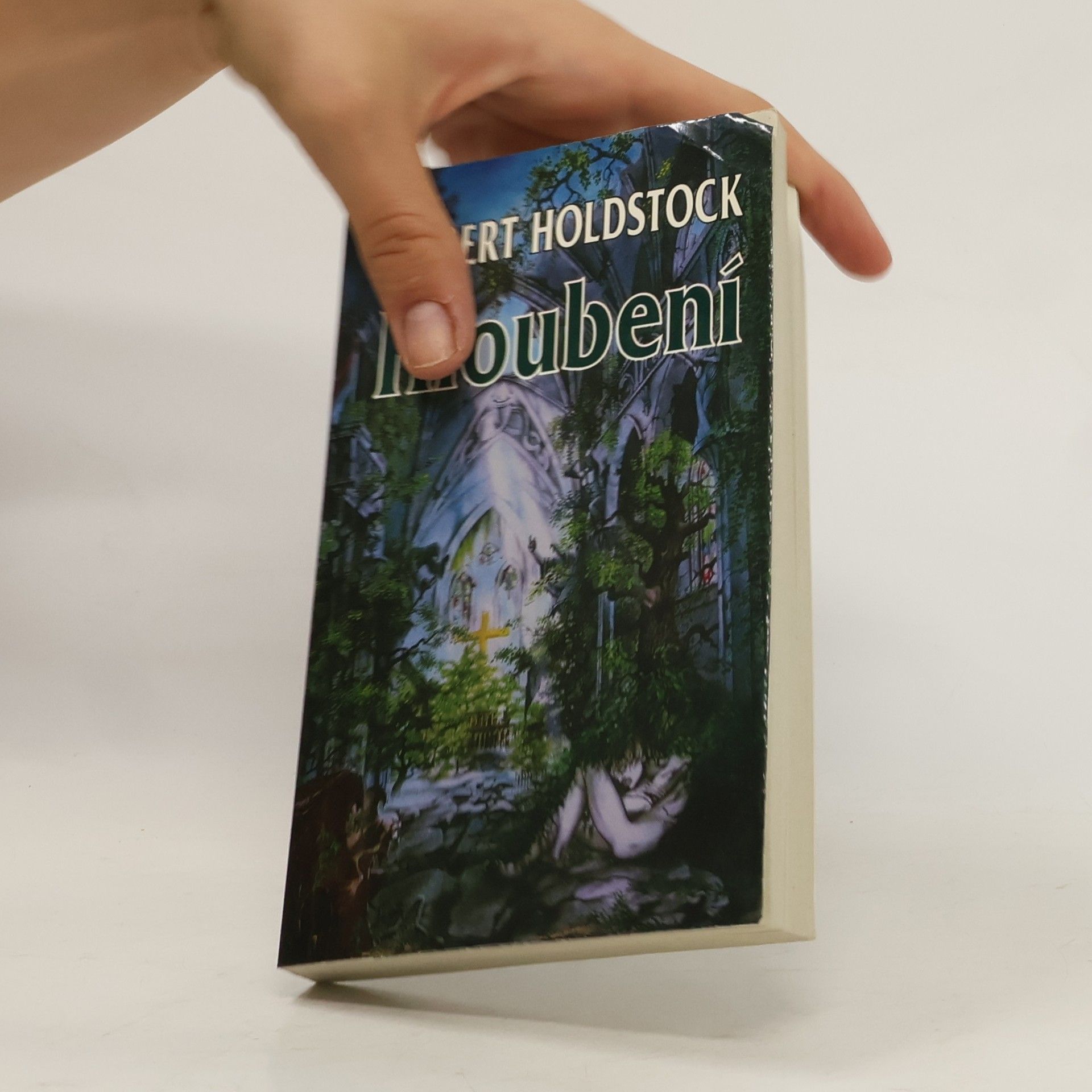 Robert Holdstock Hloubení
