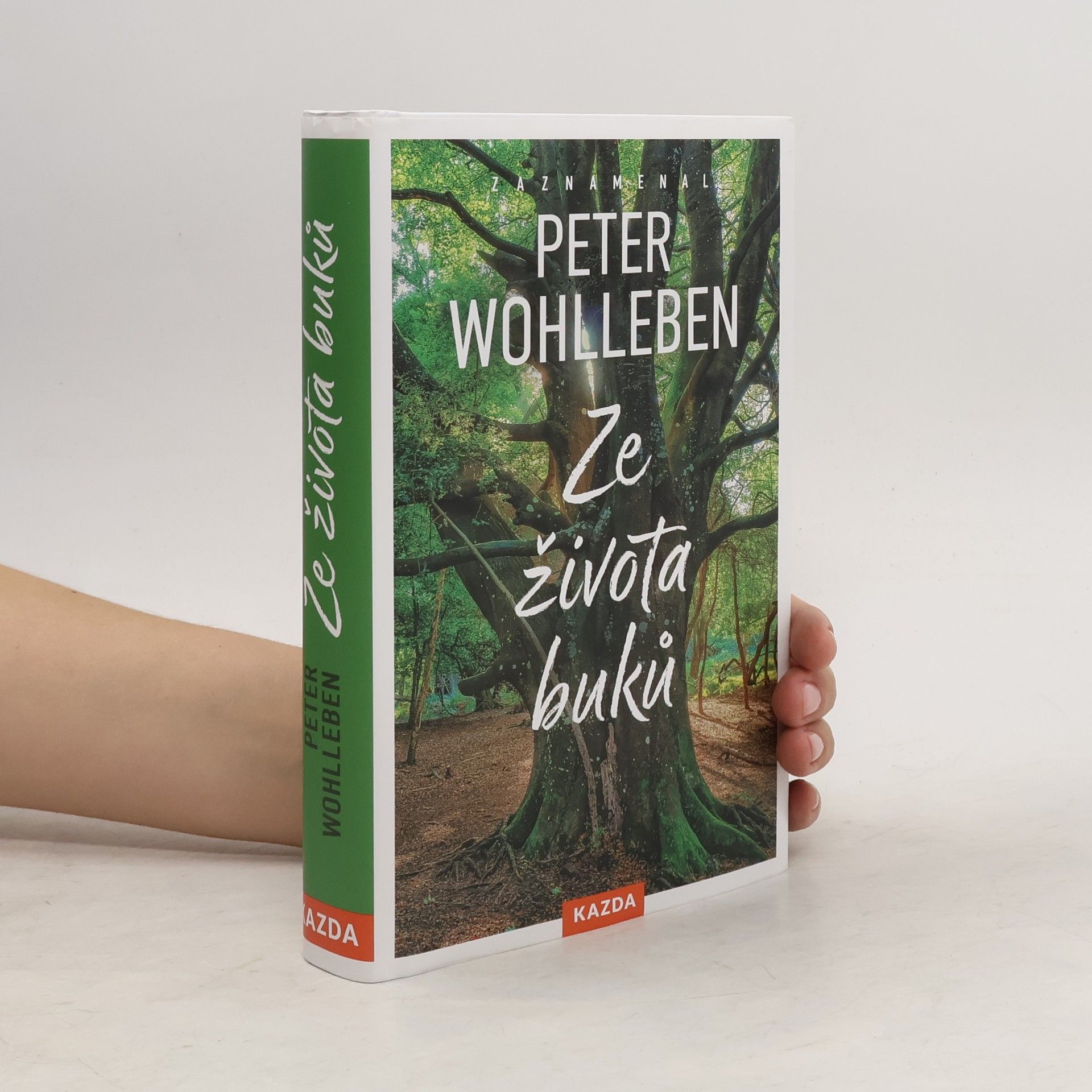 Peter Wohlleben Ze života buků