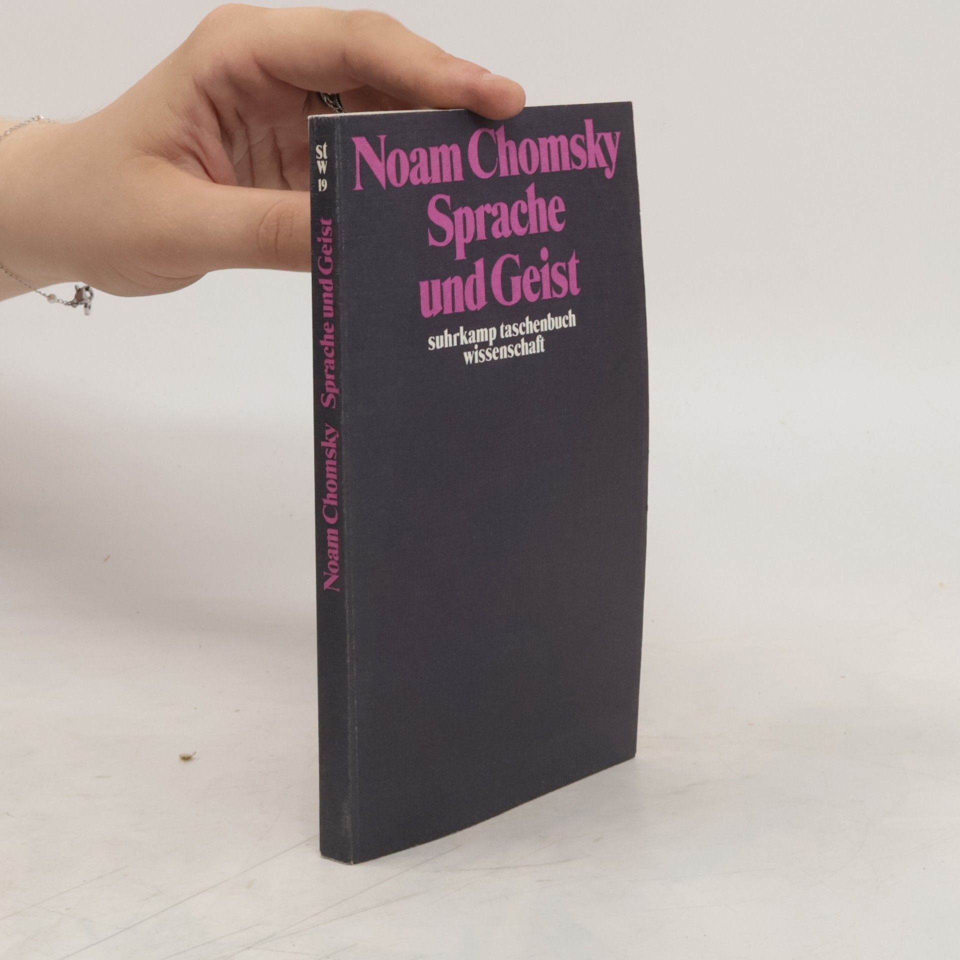 Noam Chomsky Sprache und Geist