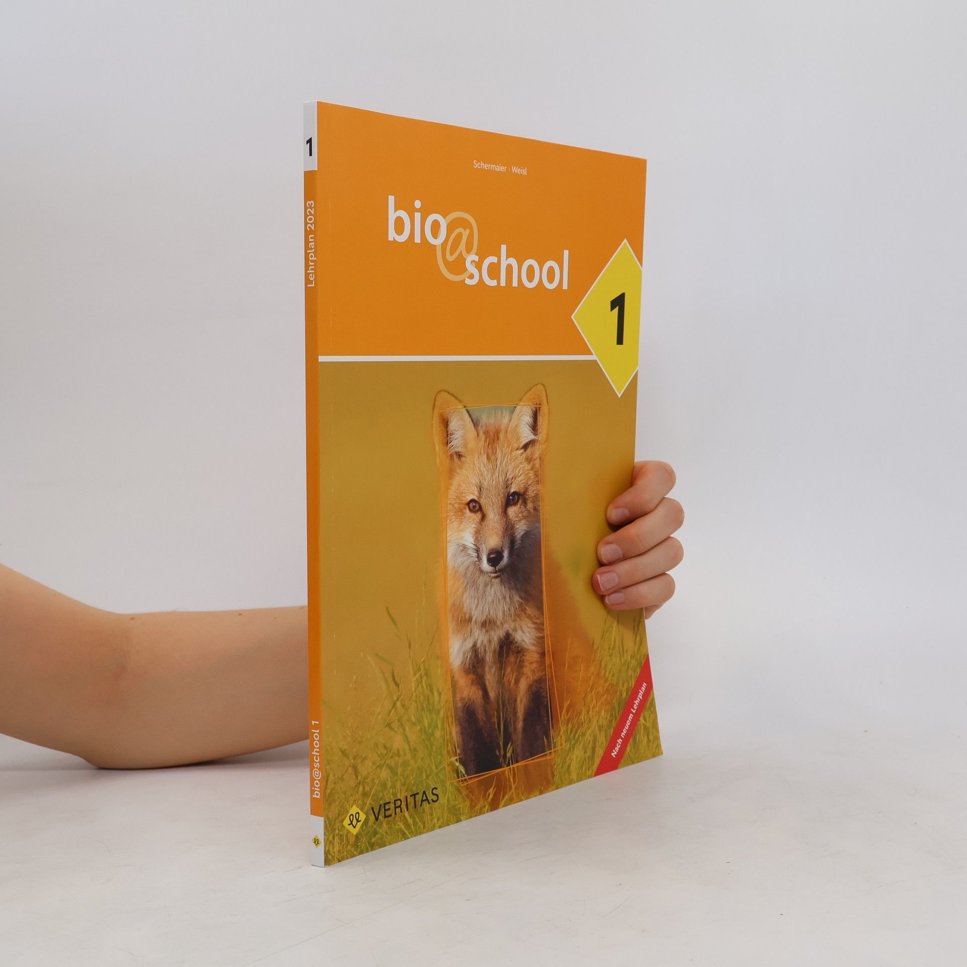 kolektiv Bio School 1