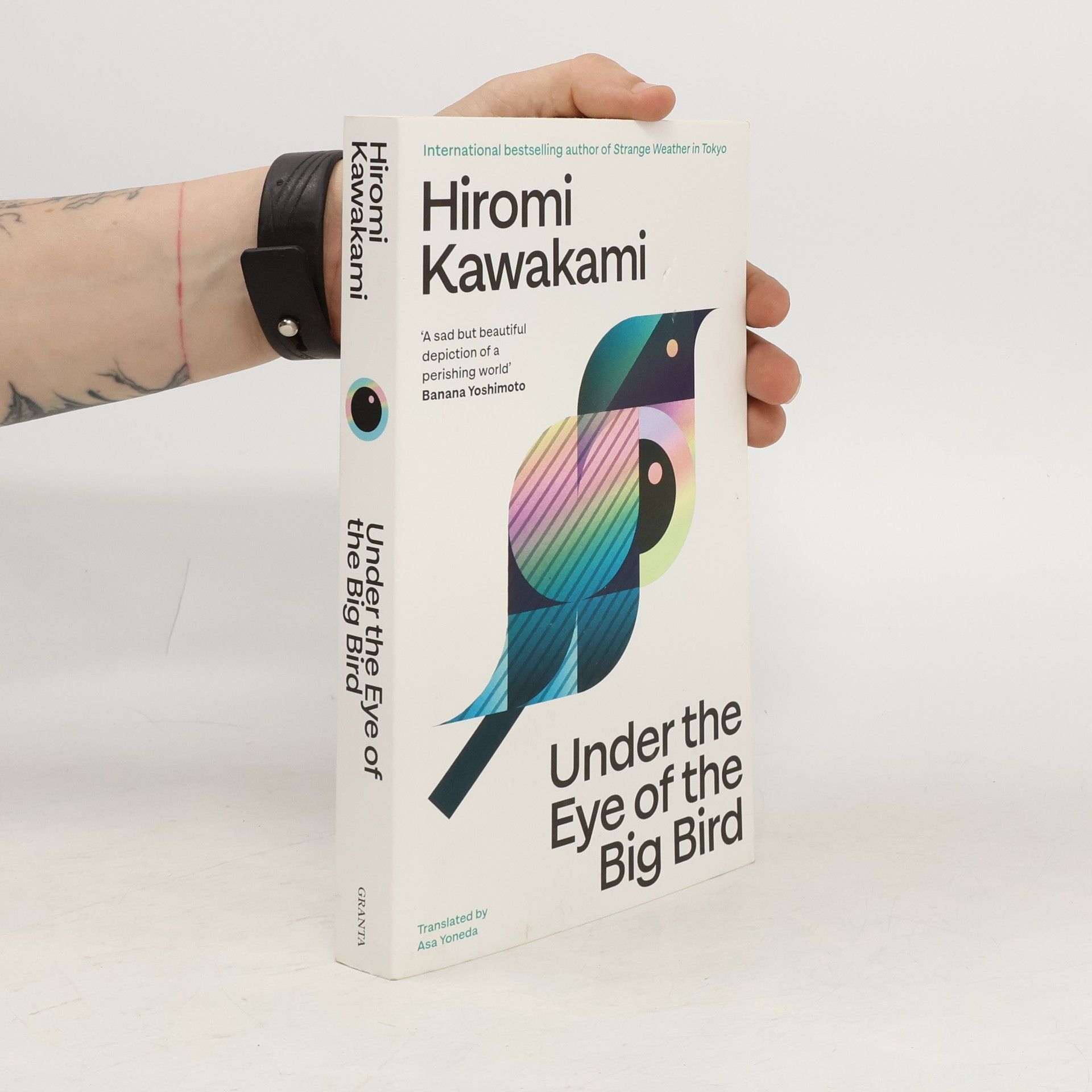 Hiromi Kawakami Under the Eye of the Big Bird