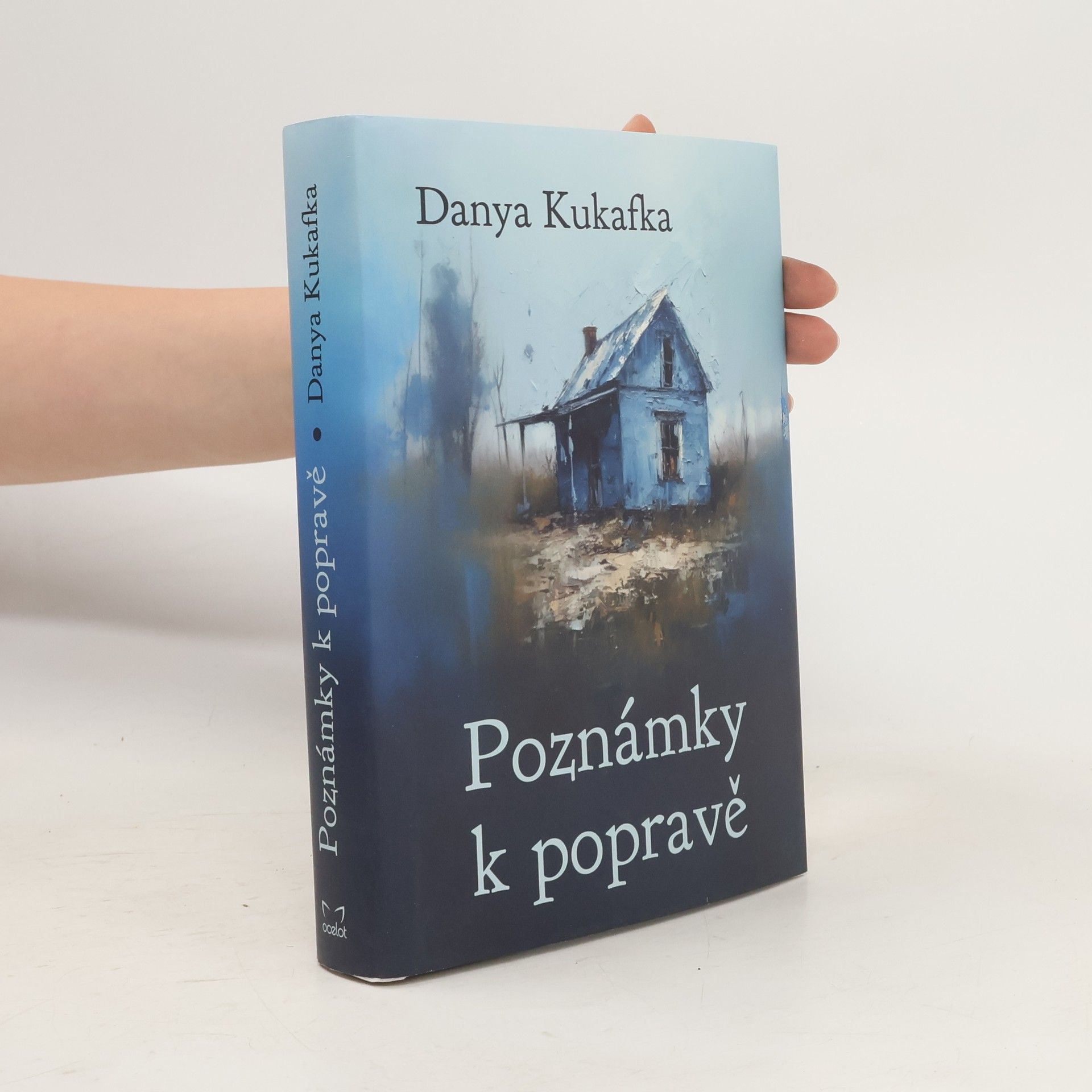 Danya Kukafka Poznámky k popravě