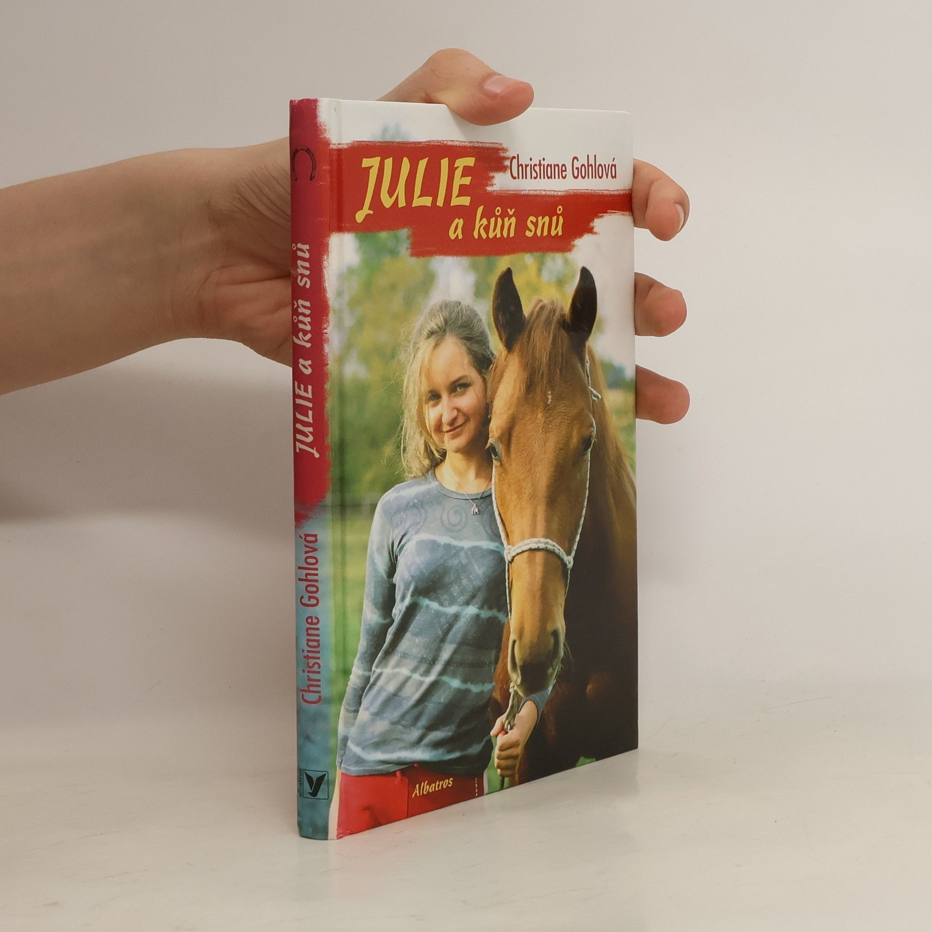 Christiane Gohl Julie a kůň snů