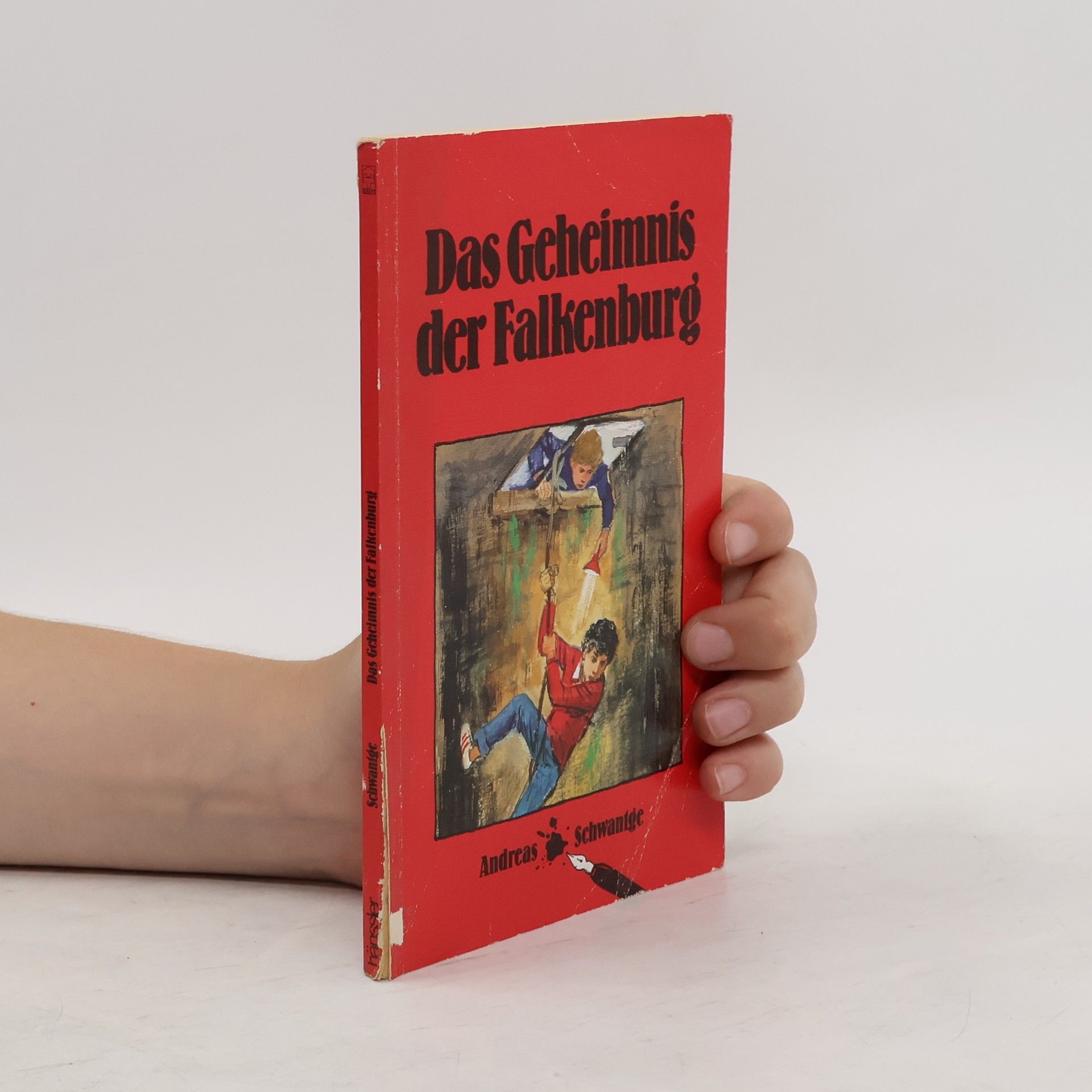 Andreas Schwantge Das Geheimnis der Falkenburg