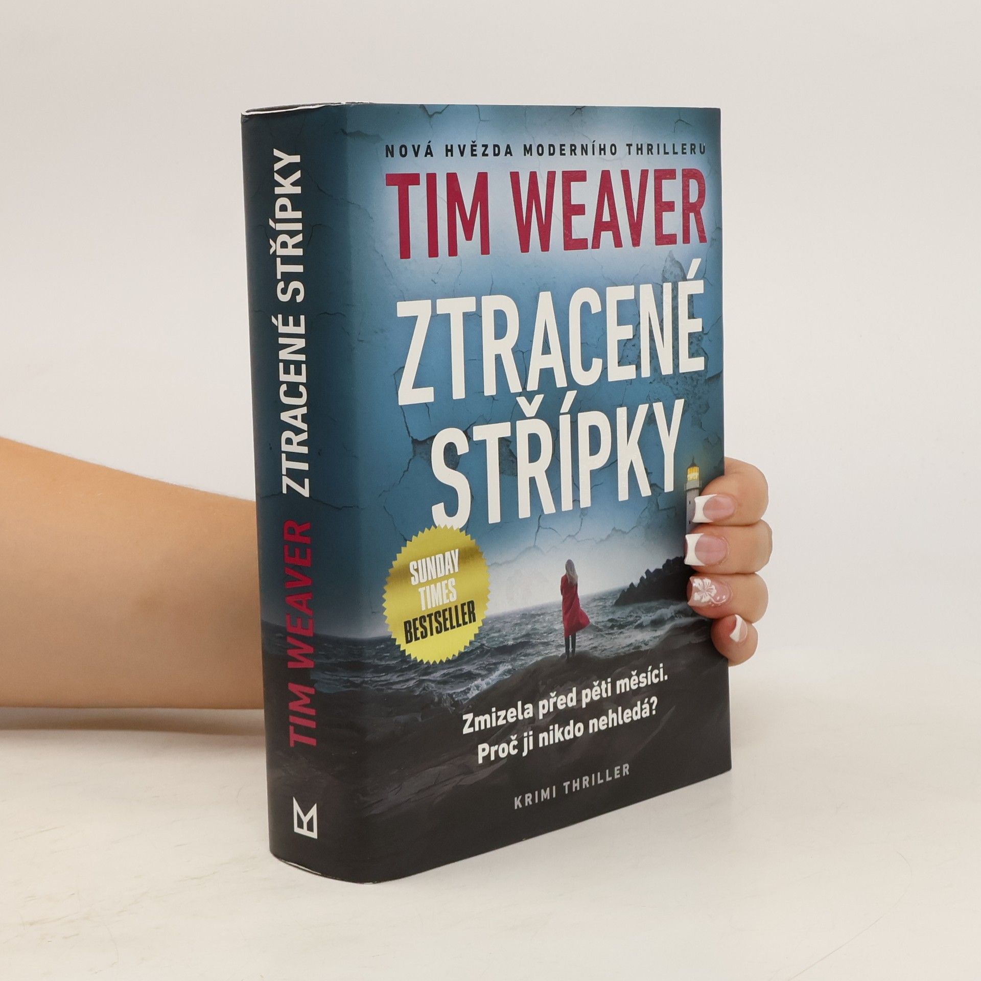 Tim Weaver Ztracené střípky