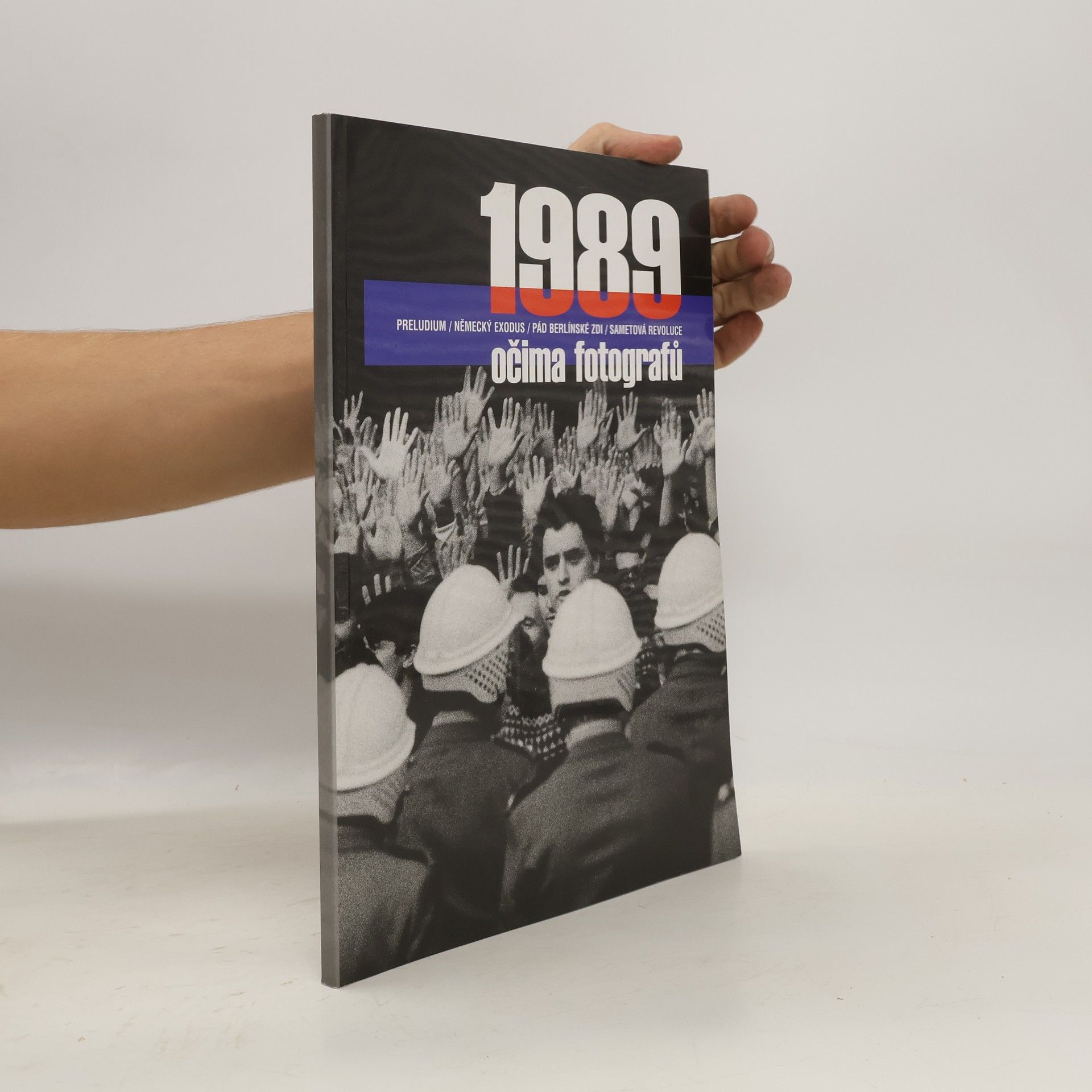 Collectif d'auteurs 1989 očima fotografů