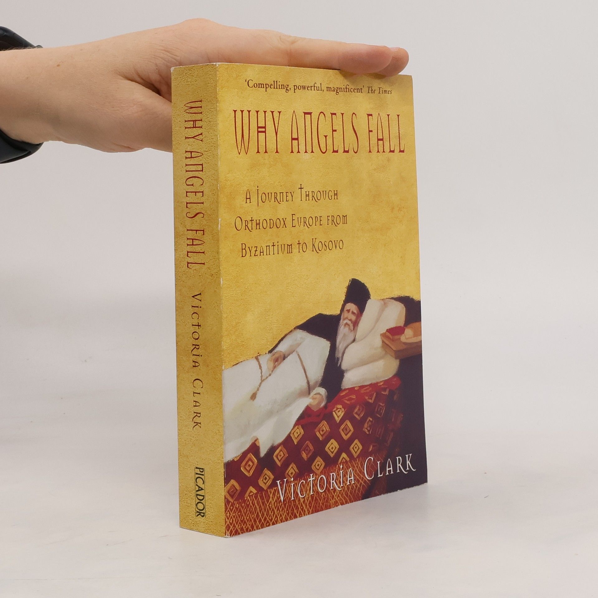 Victoria Clark Why Angels Fall