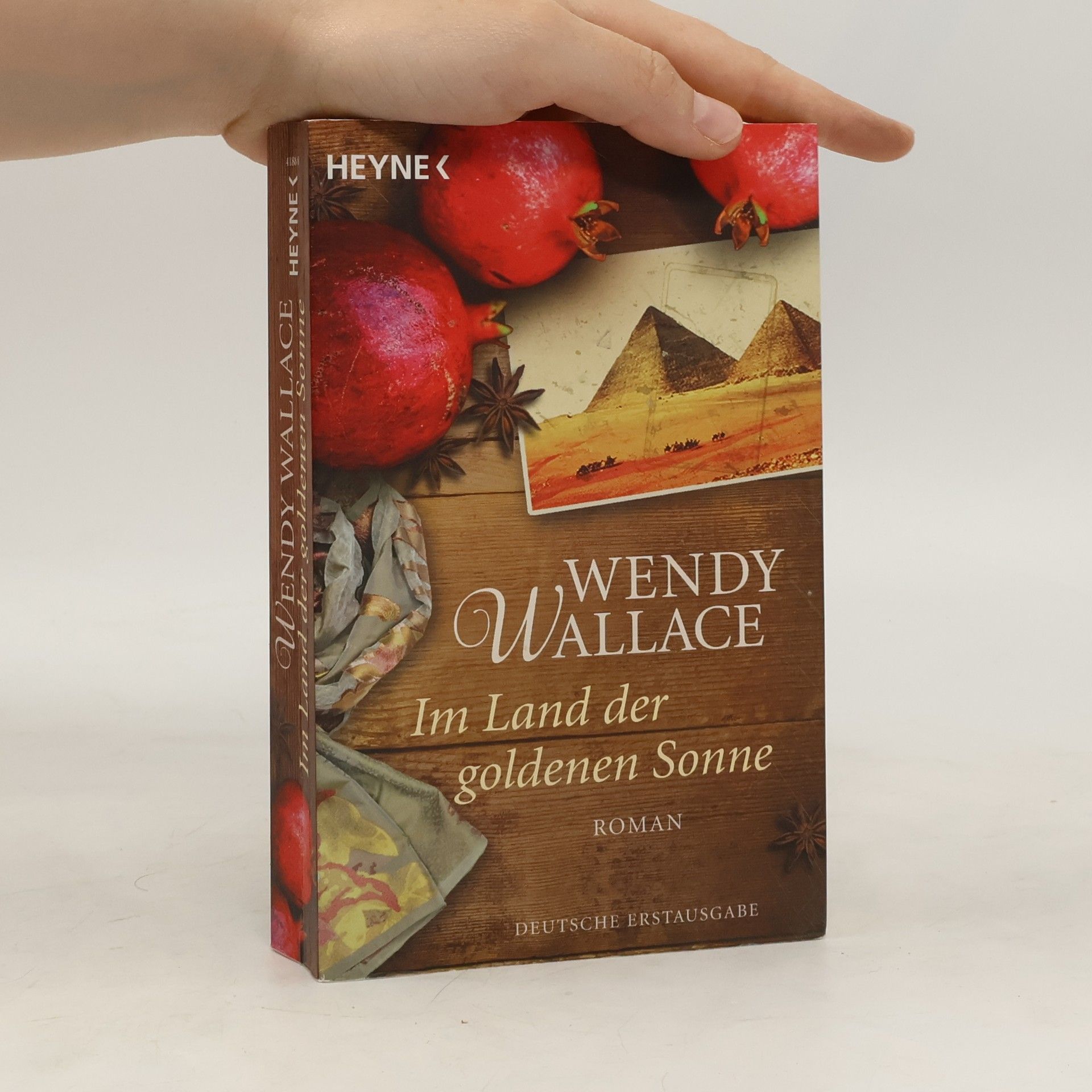 Wendy Wallace Im Land der goldenen Sonne