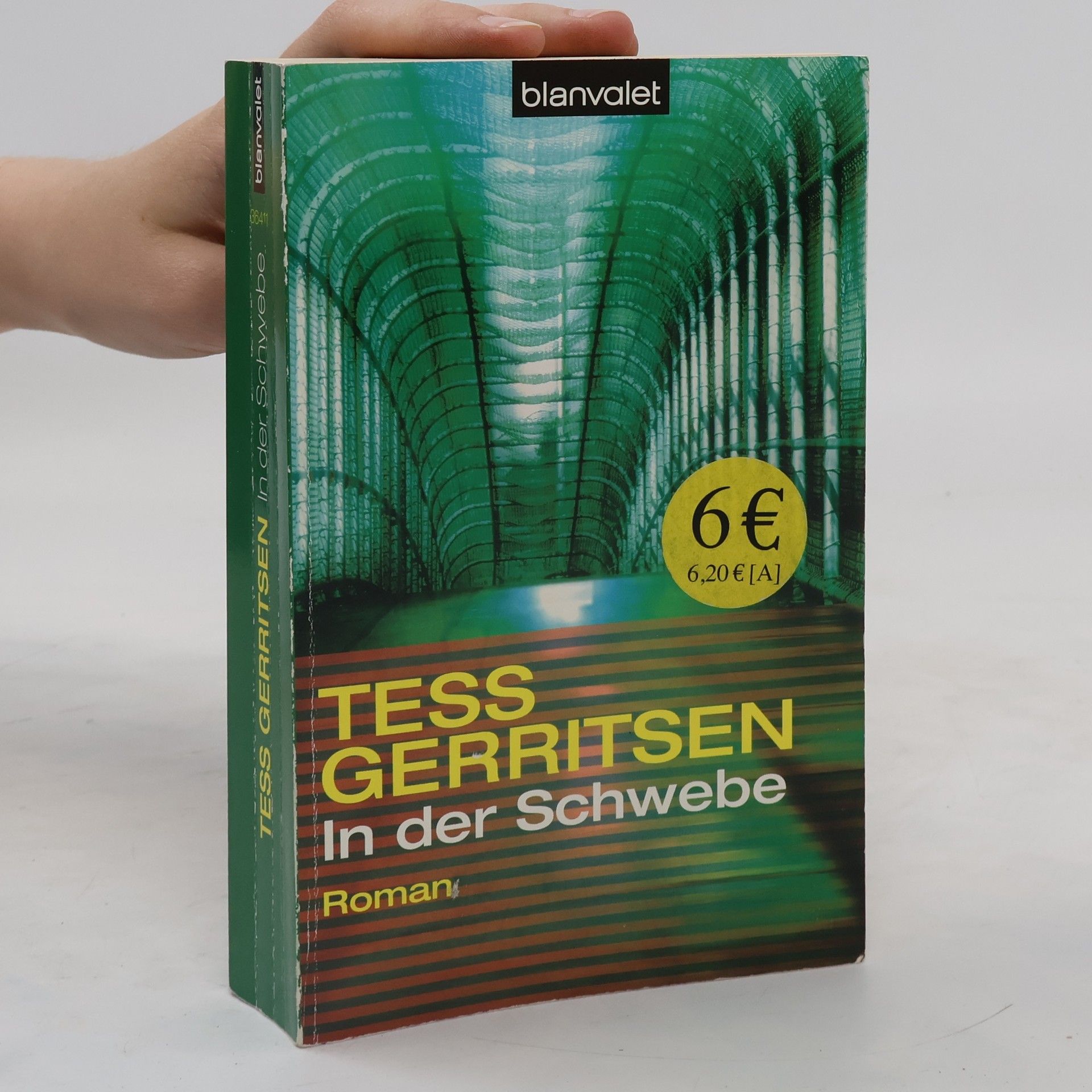 Tess Gerritsen In der Schwebe