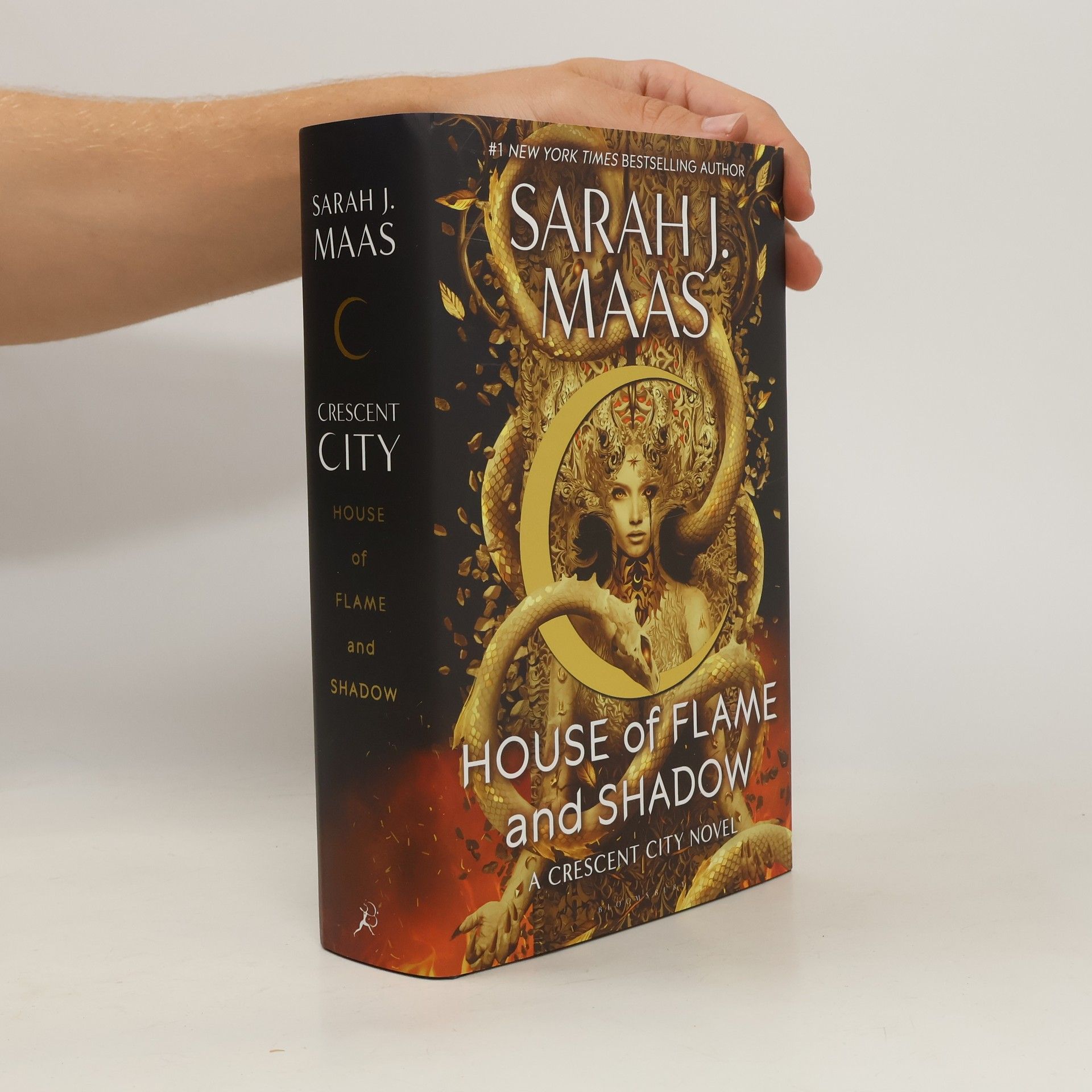 Sarah J. Maas House of Flame and Shadow
