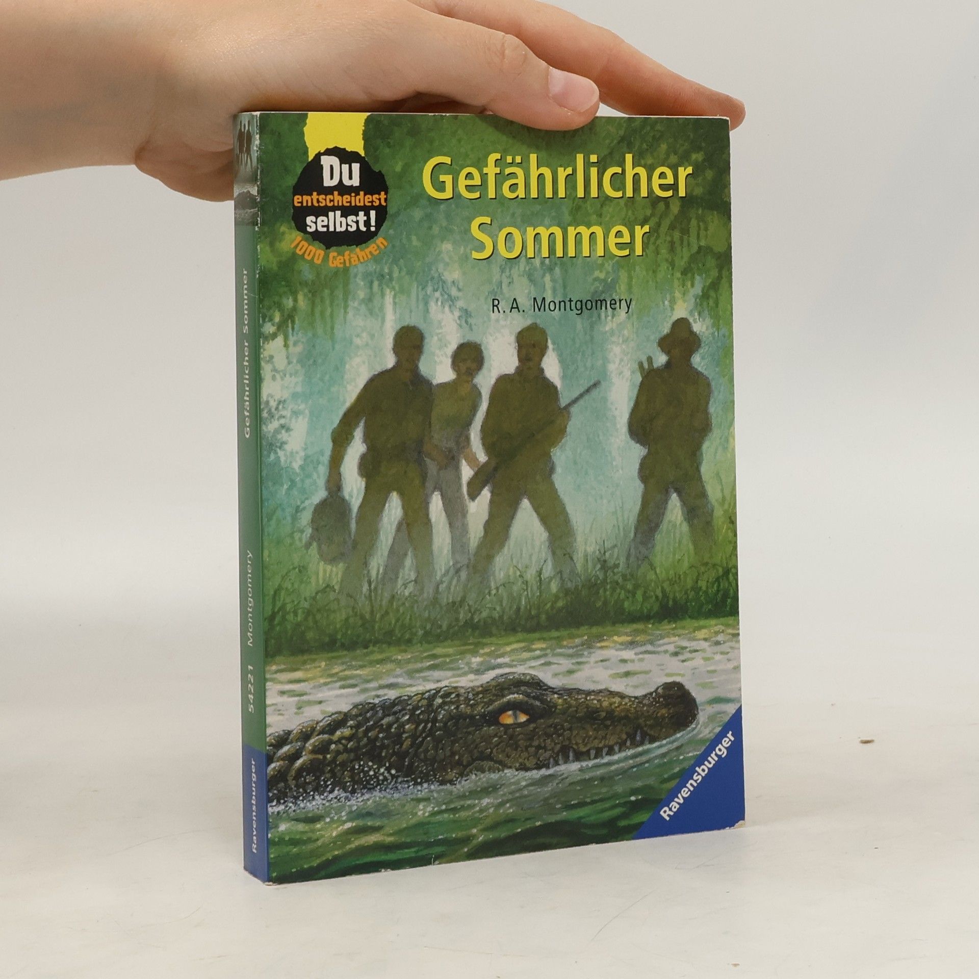 R. A. Montgomery Gefährlicher Sommer