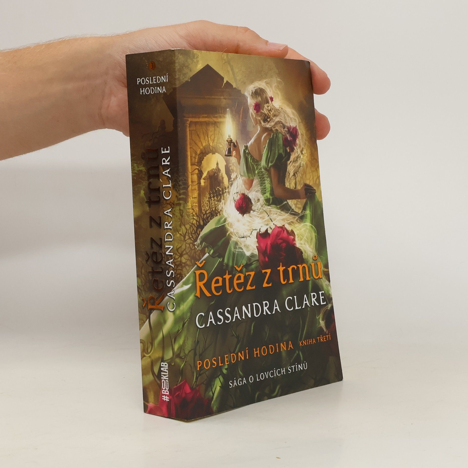 Cassandra Clare Řetěz z trnů - Poslední hodina 3 (barevná ořízka)