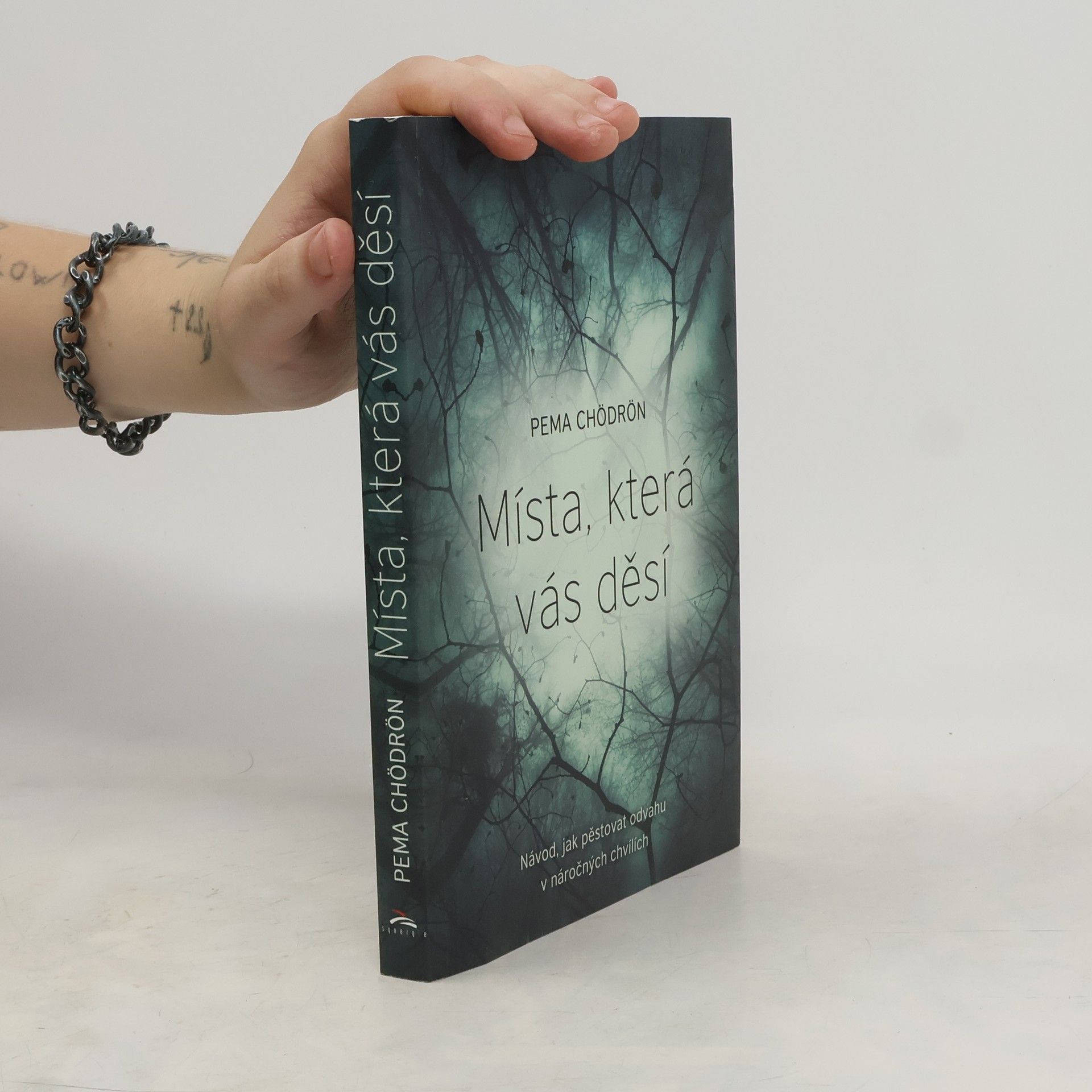 Pema Chödrön Místa, která vás děsí