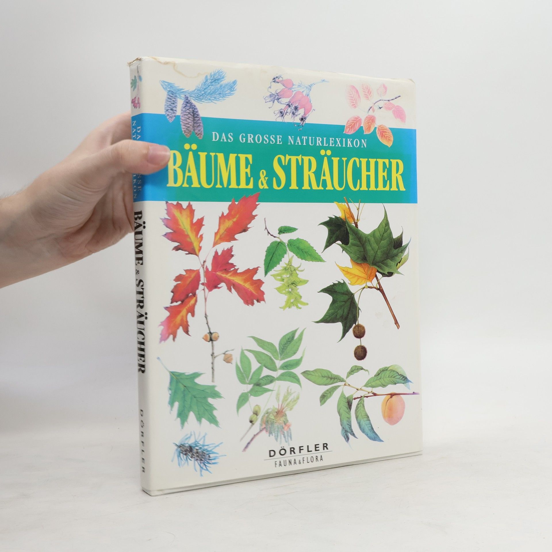 Václav Větvička Das grosse Naturlexikon: Bäume & Sträucher