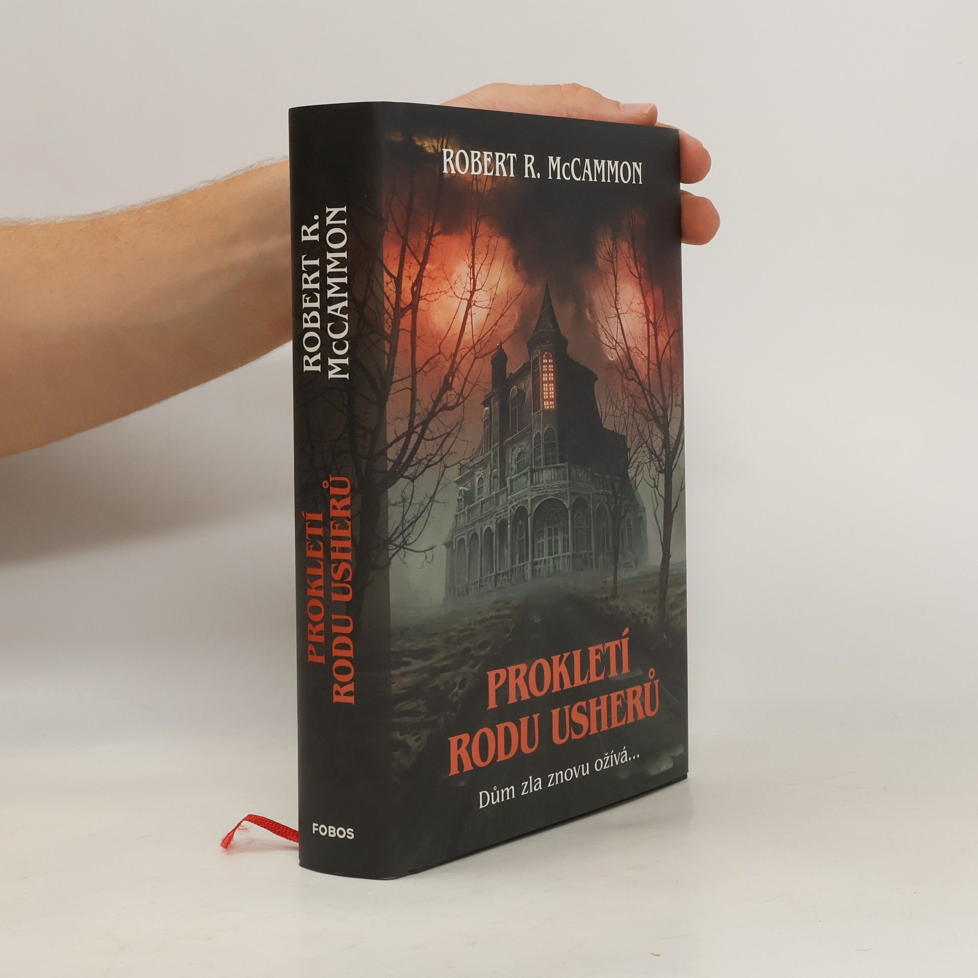 Robert McCammon Prokletí rodu Usherů