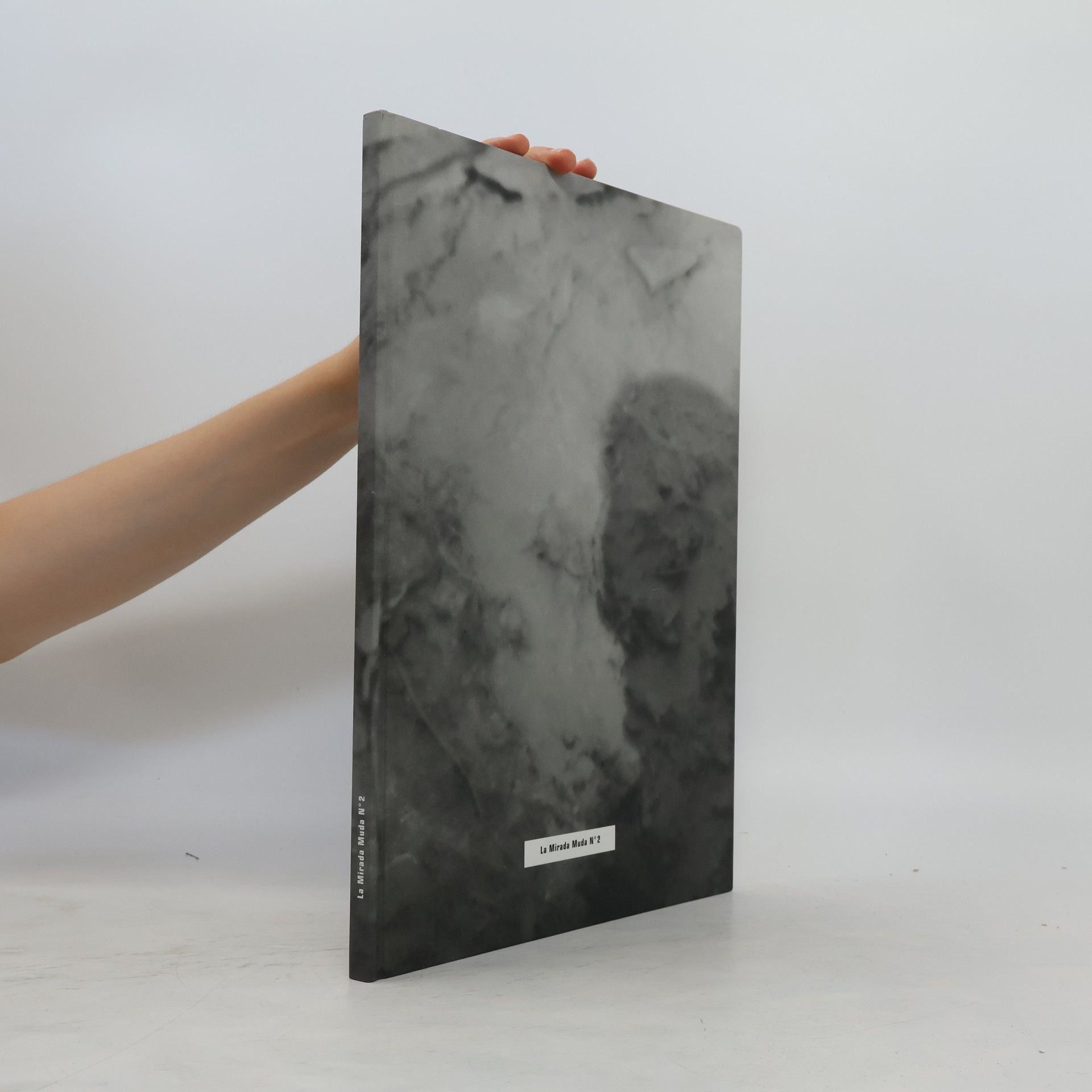 Marina Hämmerle Ignacio Martinez, der stumme Blick No 2, la mirada muda no 2, the mute eye no 2 ; [die Ausstellung Der Stumme Blick No 2 wird im Raum 28/6 in Wien im Oktober 2001 präsentiert]