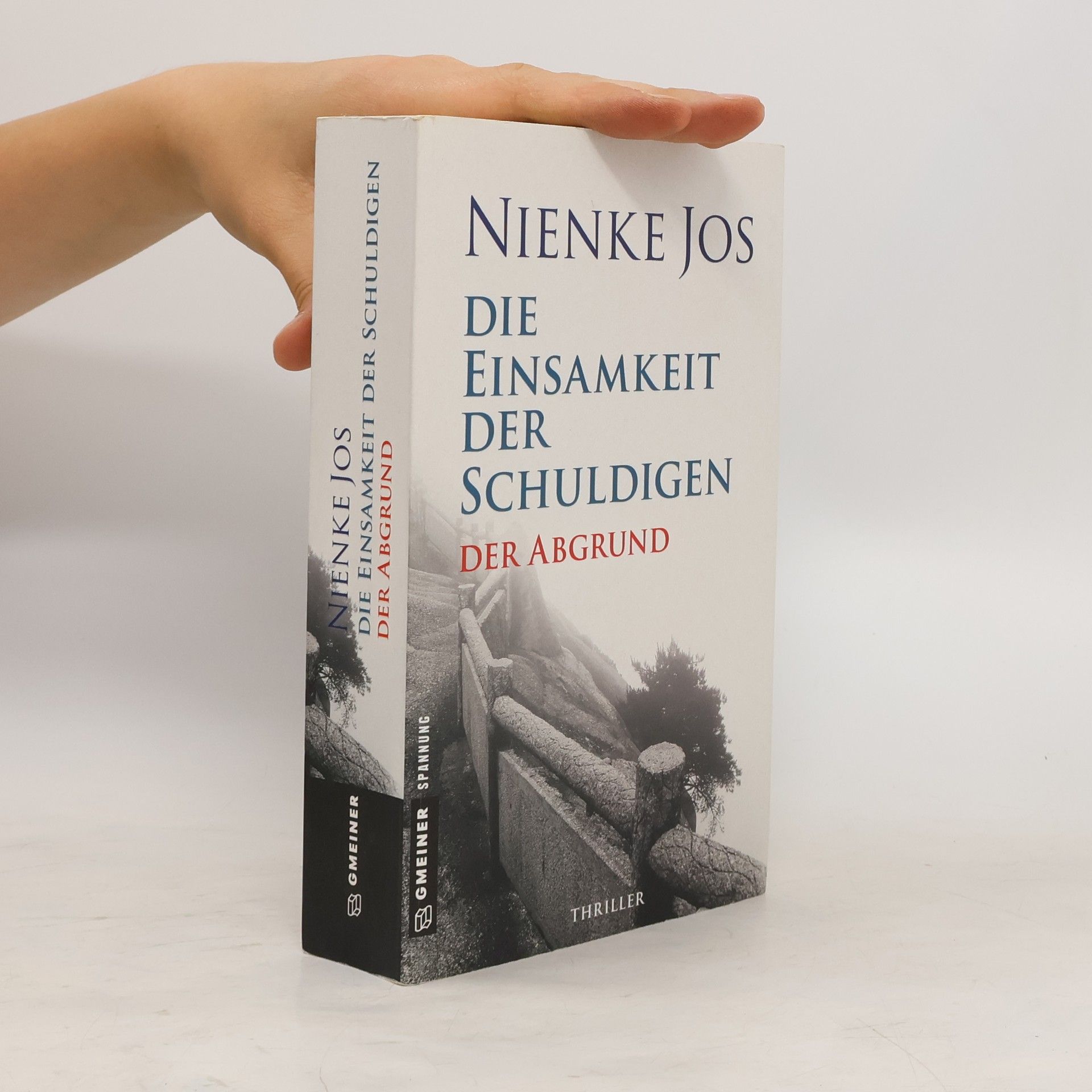 Nienke Jos Der Abgrund