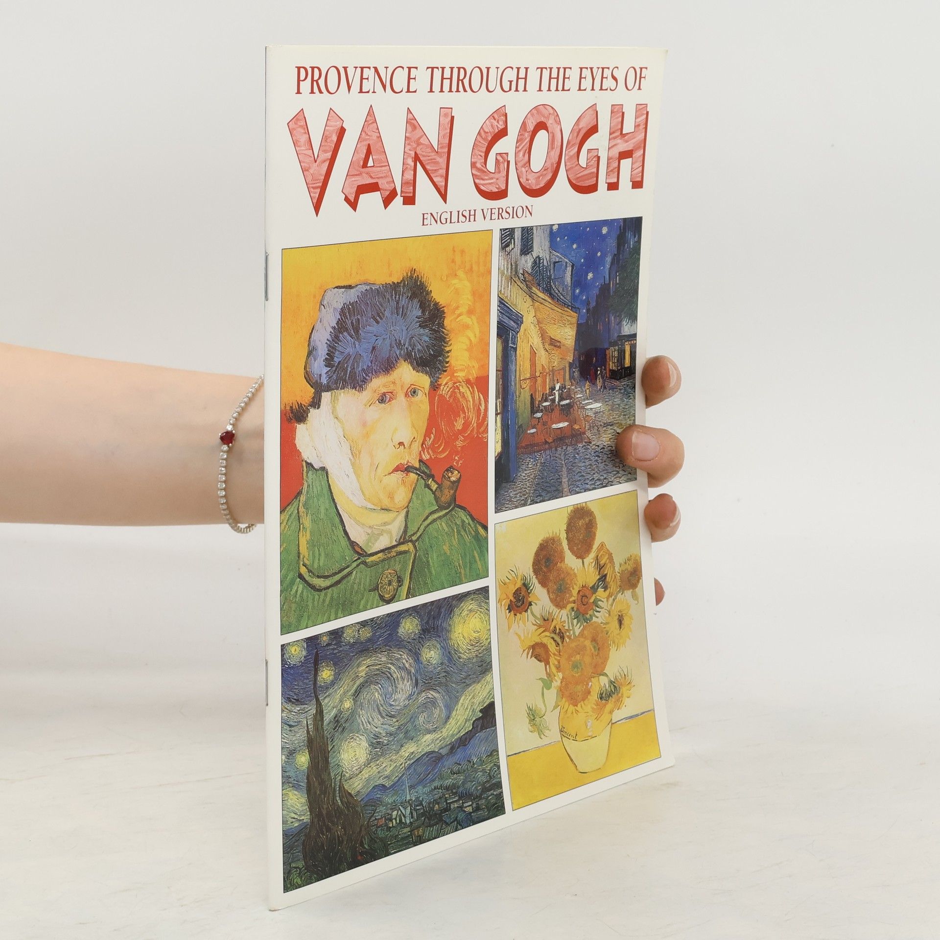 Annemiek Overbeek Van Gogh Museum - guide
