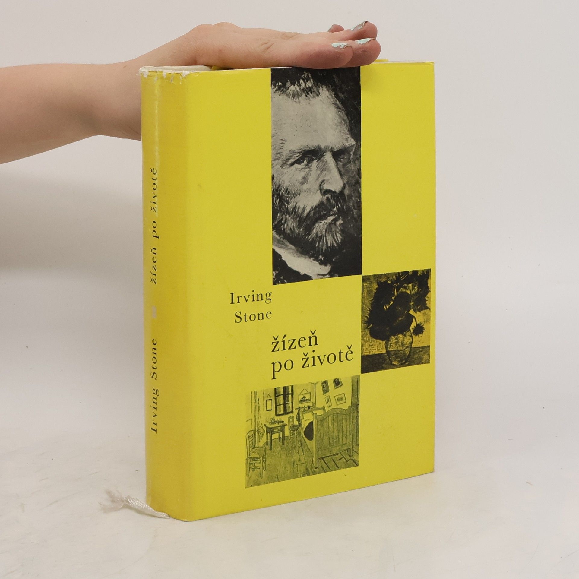Irving Stone Žízeň po životě