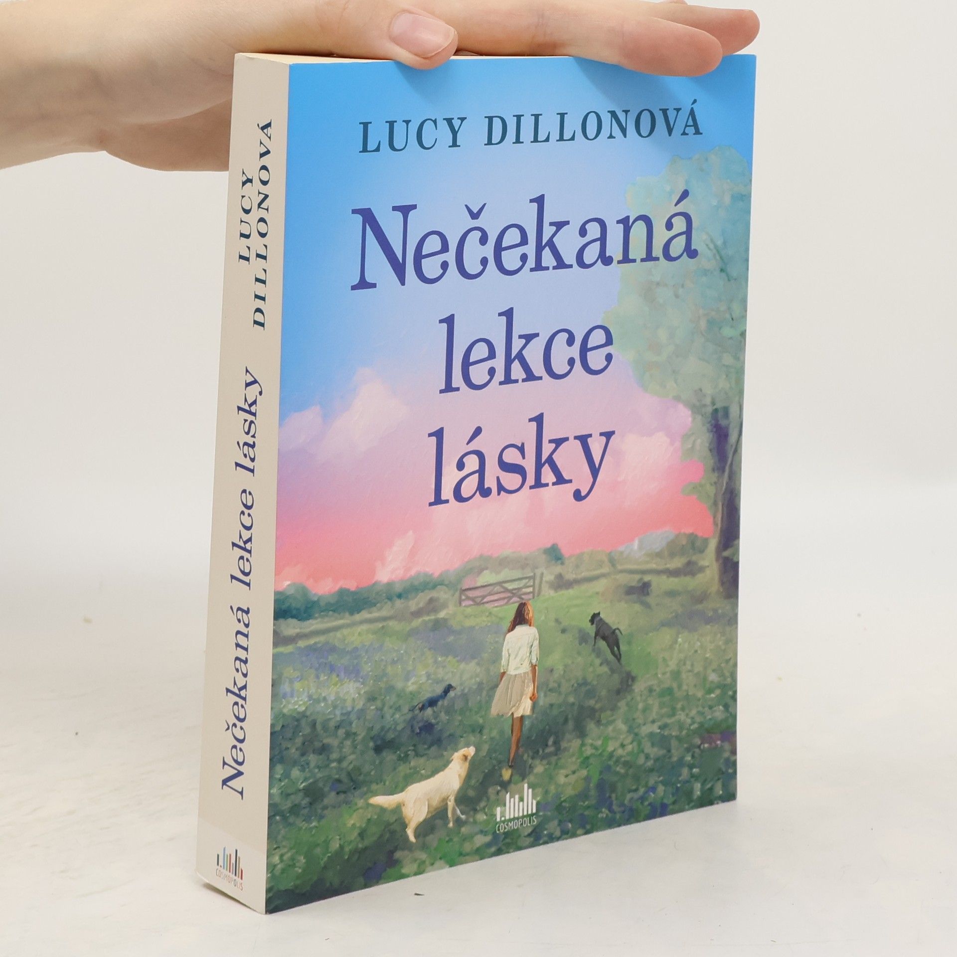 Lucy Dillon Nečekaná lekce lásky