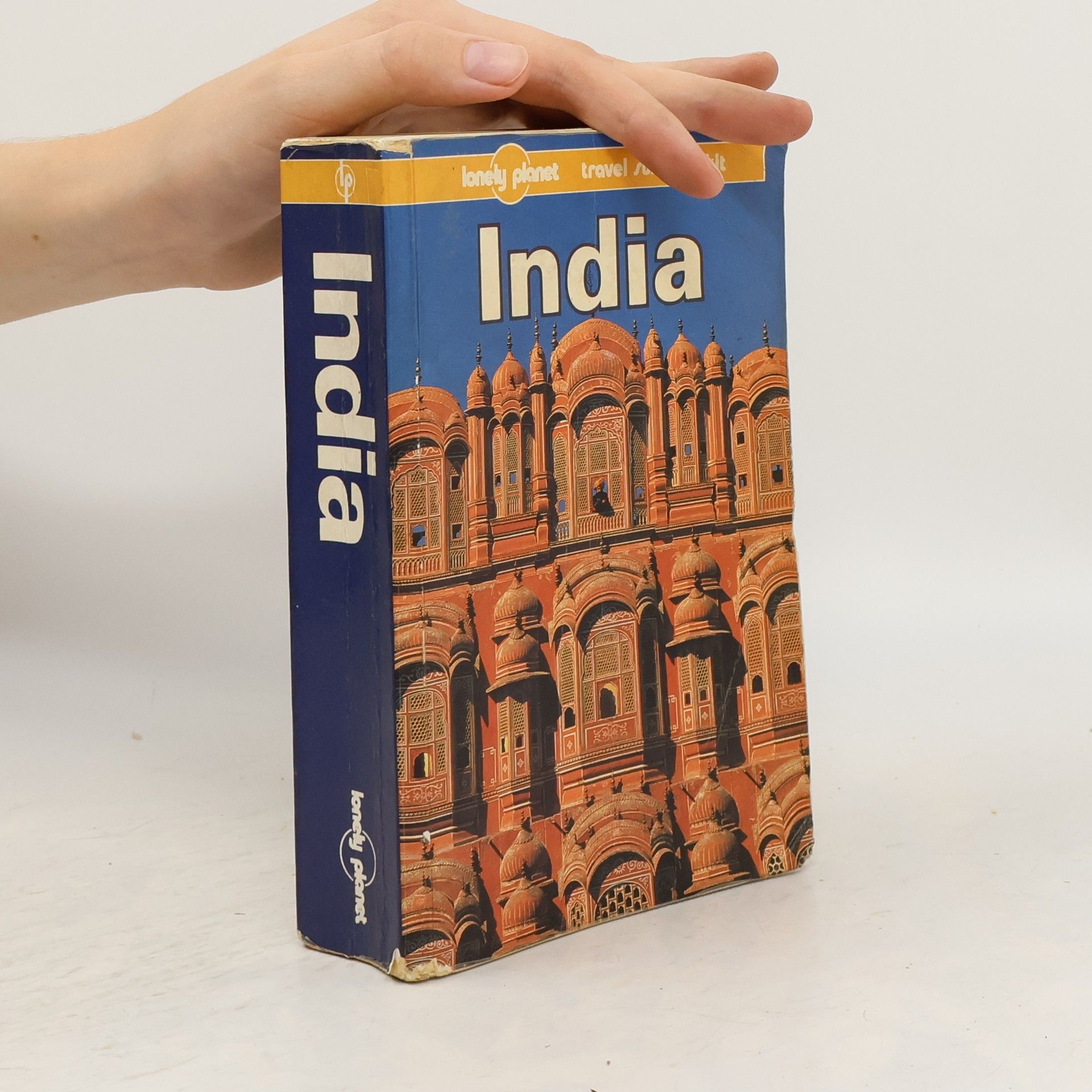 Geoff Crowther India : a travel survival kit