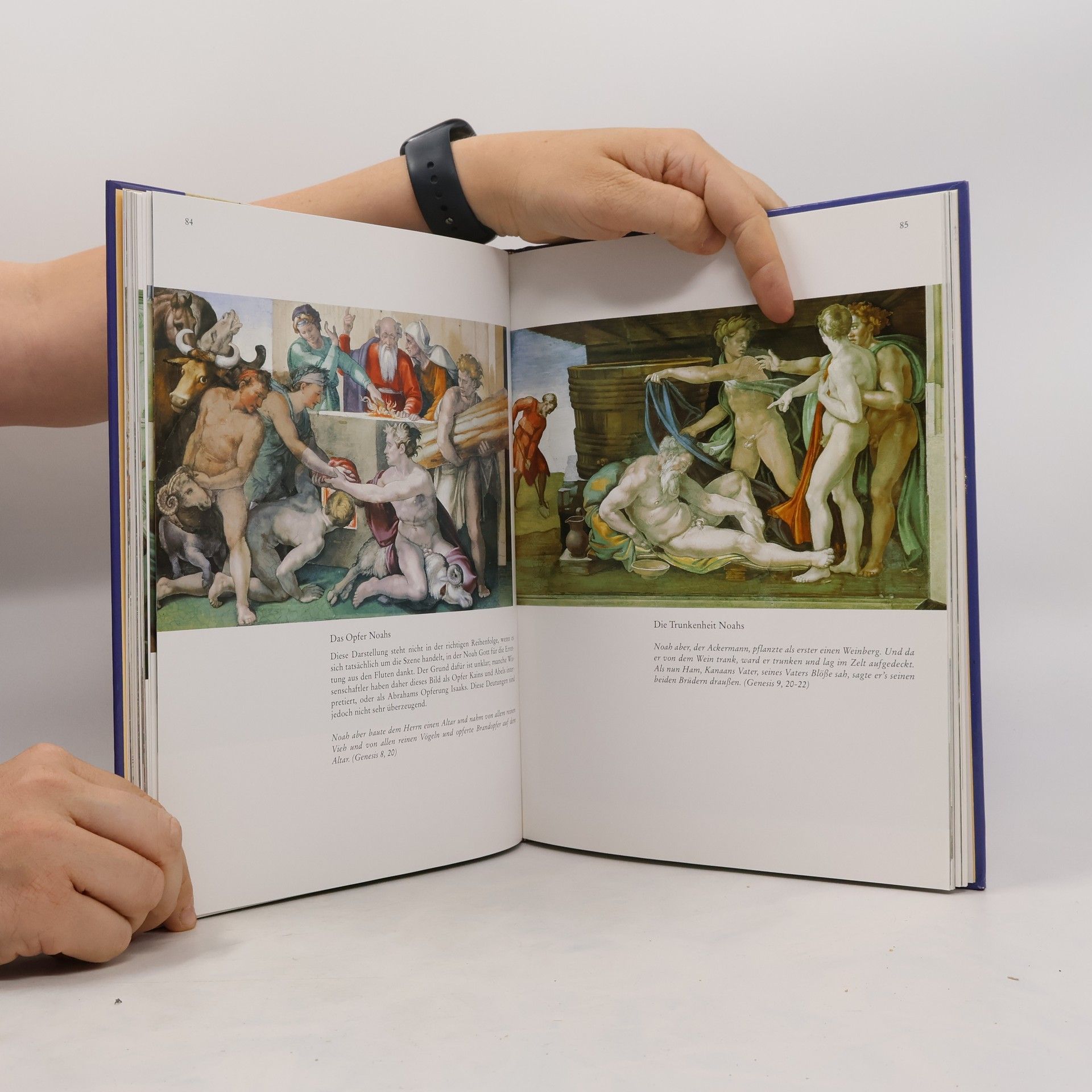 Robin Richmond Michelangelo und die Sixtinische Kapelle