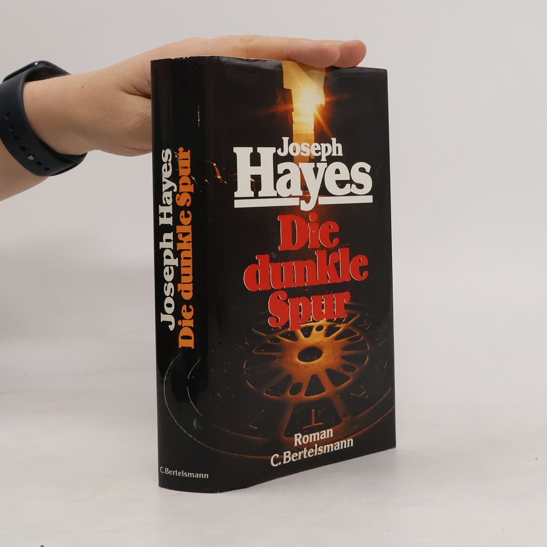 Joseph Hayes Die dunkle Spur