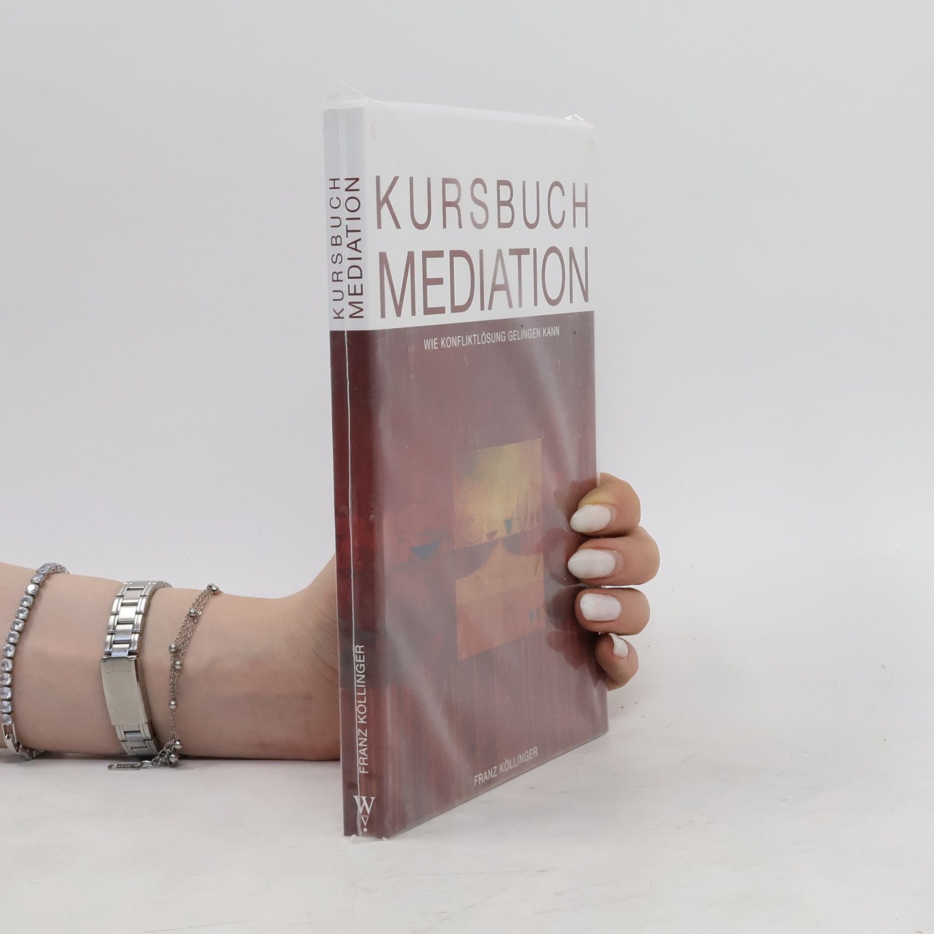 Franziska Kollinger Kursbuch Mediation