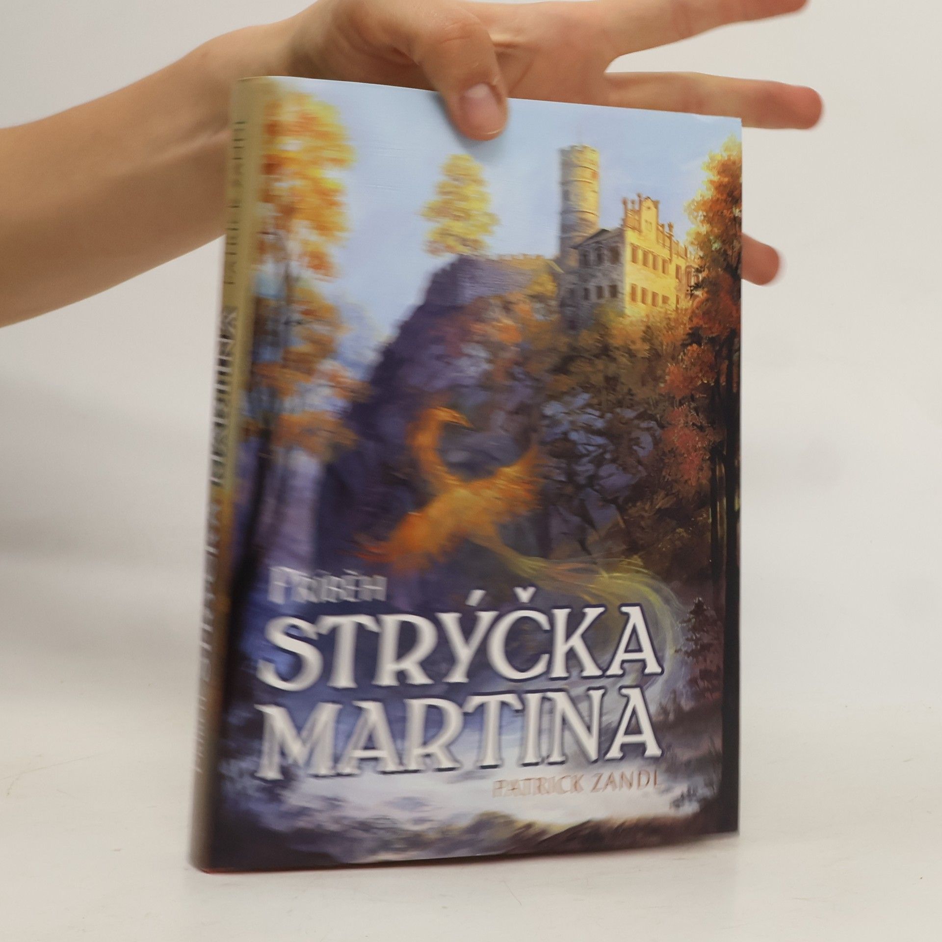 Patrick Zandl Příběh strýčka Martina