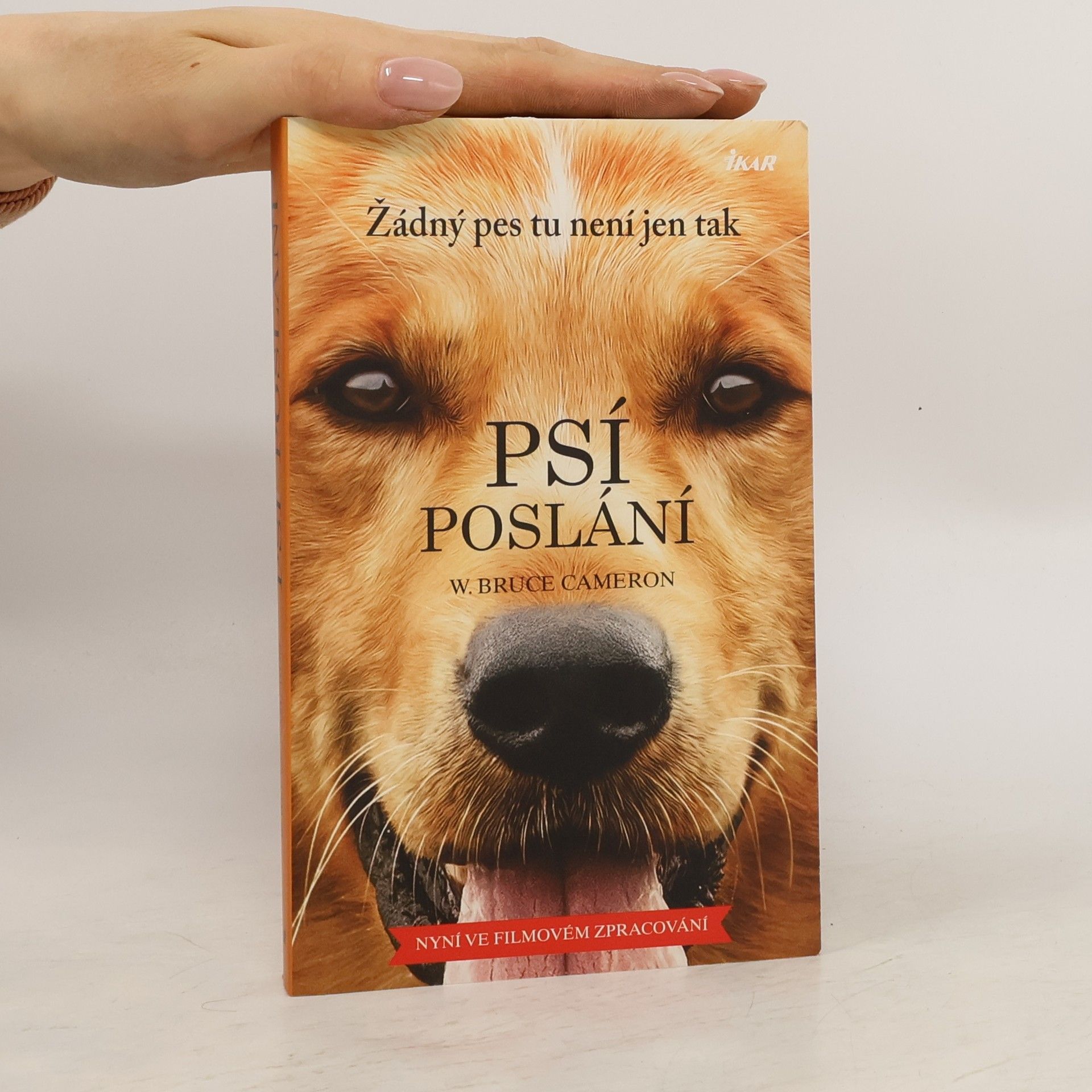 W. Bruce Cameron Psí poslání. Žádný pes tu není jen tak