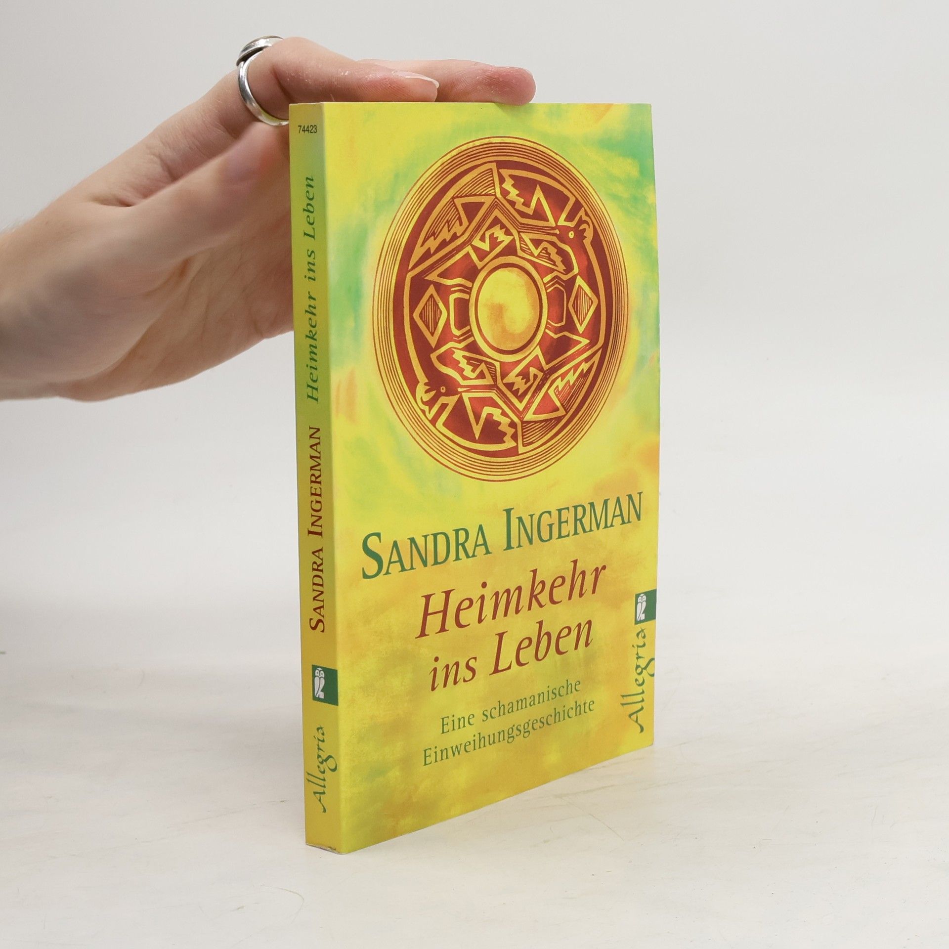 Sandra Ingerman Heimkehr ins Leben