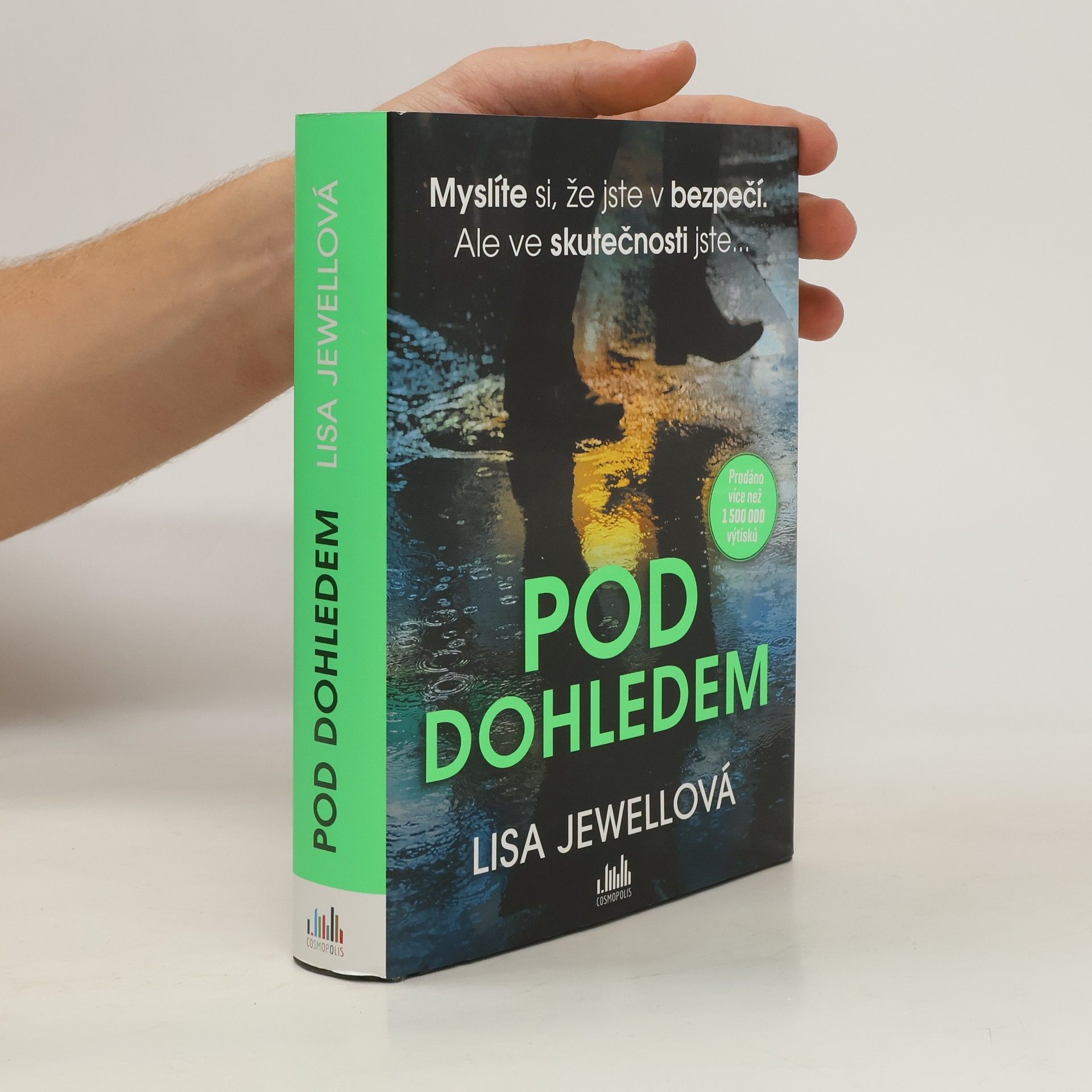 Lisa Jewell Pod dohledem
