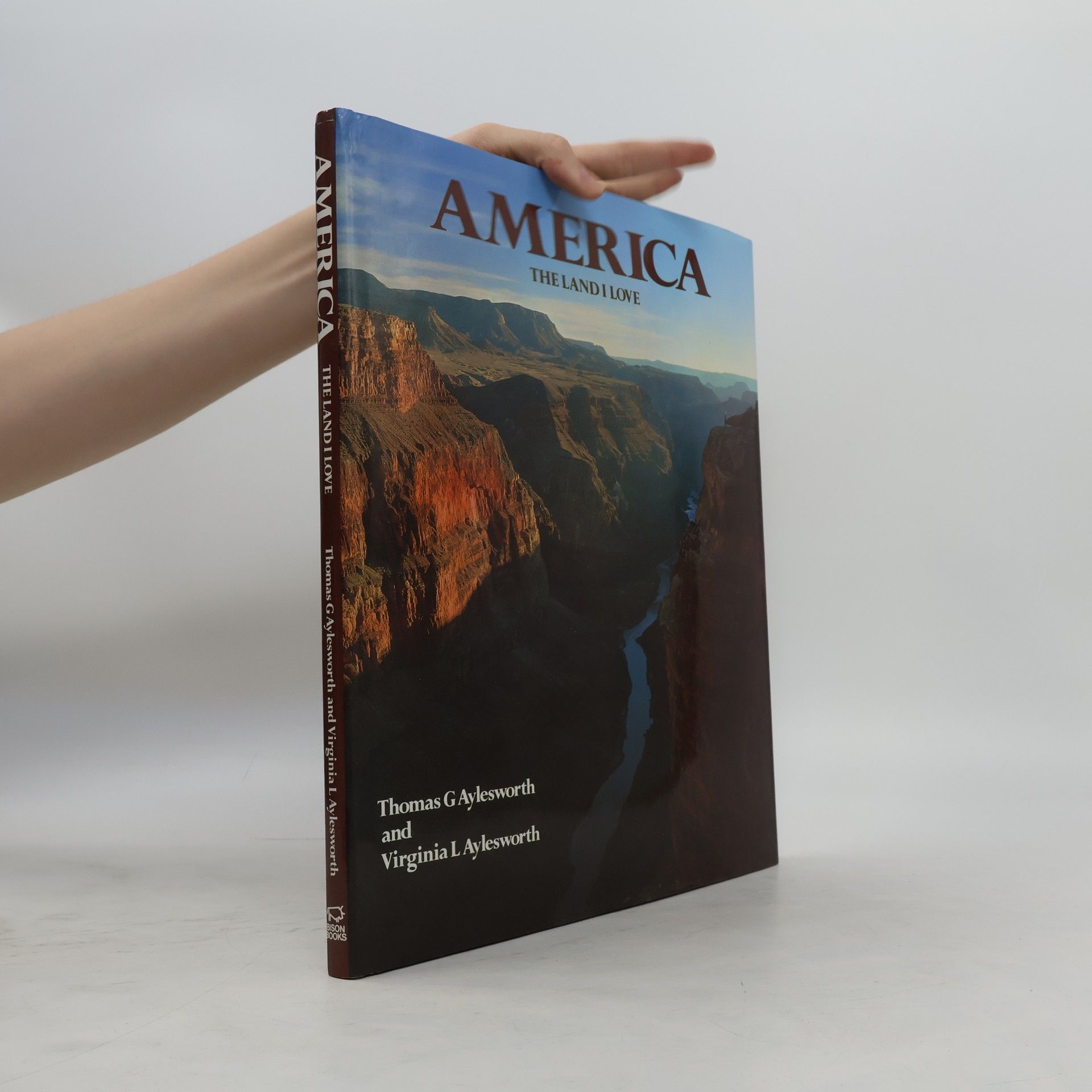Thomas G. Aylesworth America