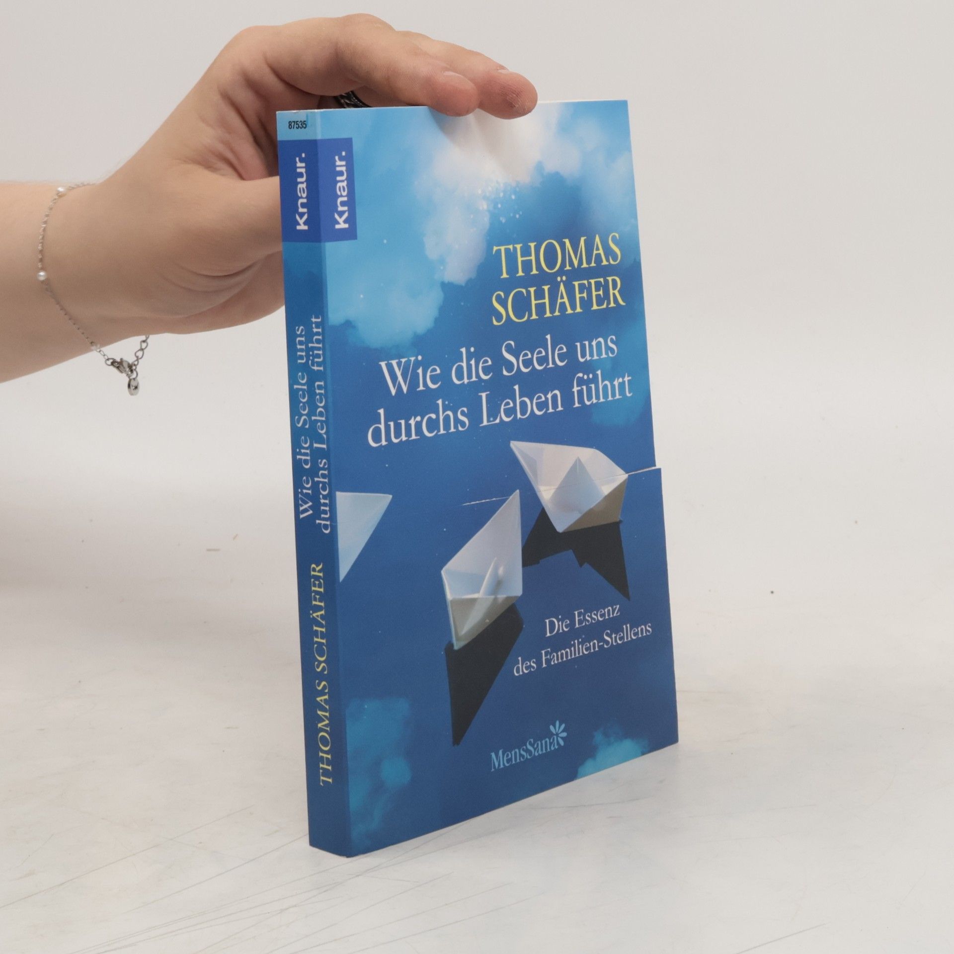 Thomas Schäfer Wie die Seele uns durchs Leben führt
