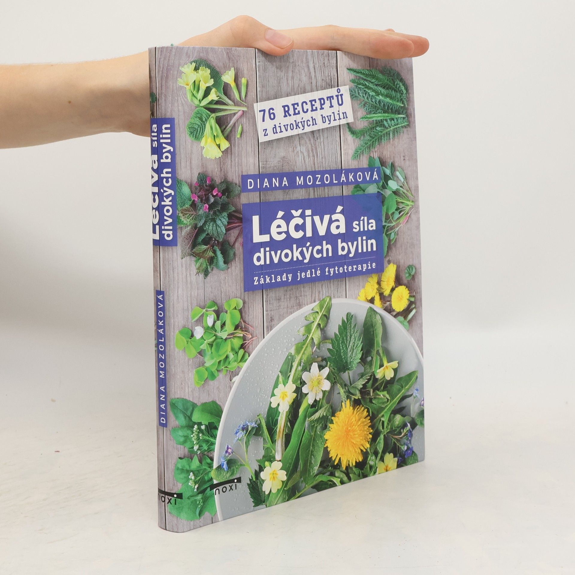 Diana Mozoláková Léčivá síla divokých bylin - Základy jedlé fytoterapie, 76 receptů z divokých bylin