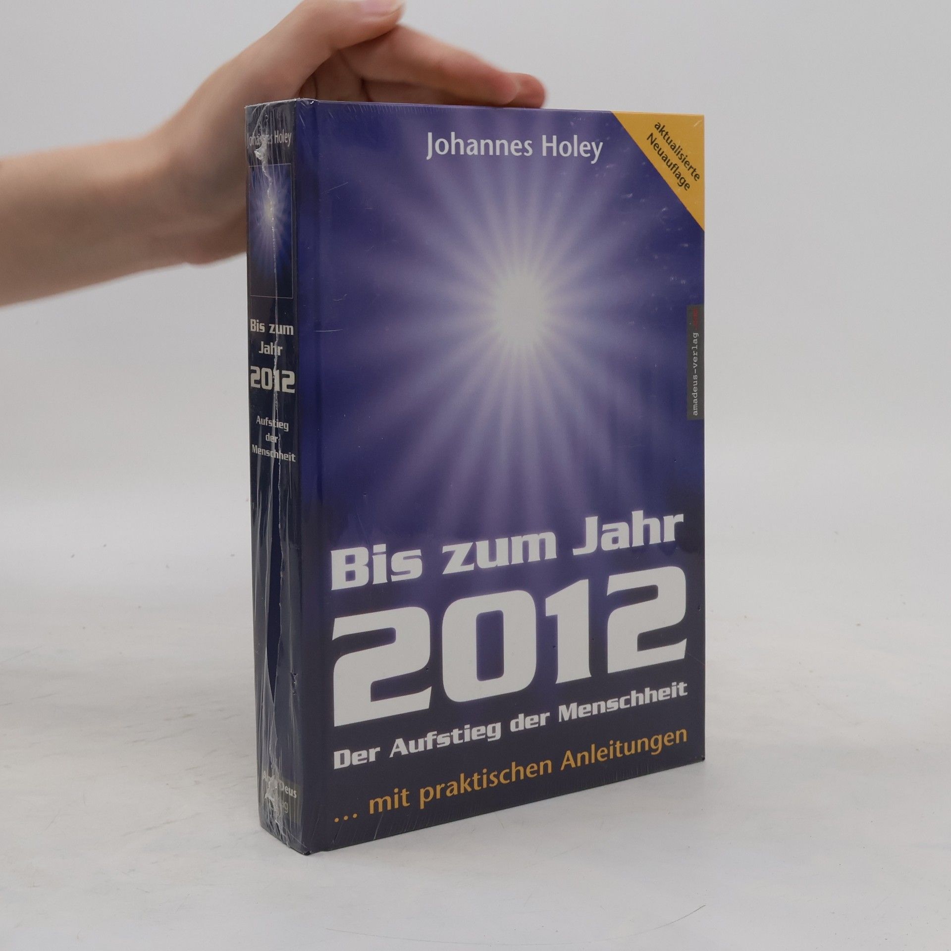 Johannes Holey Bis zum Jahr 2012
