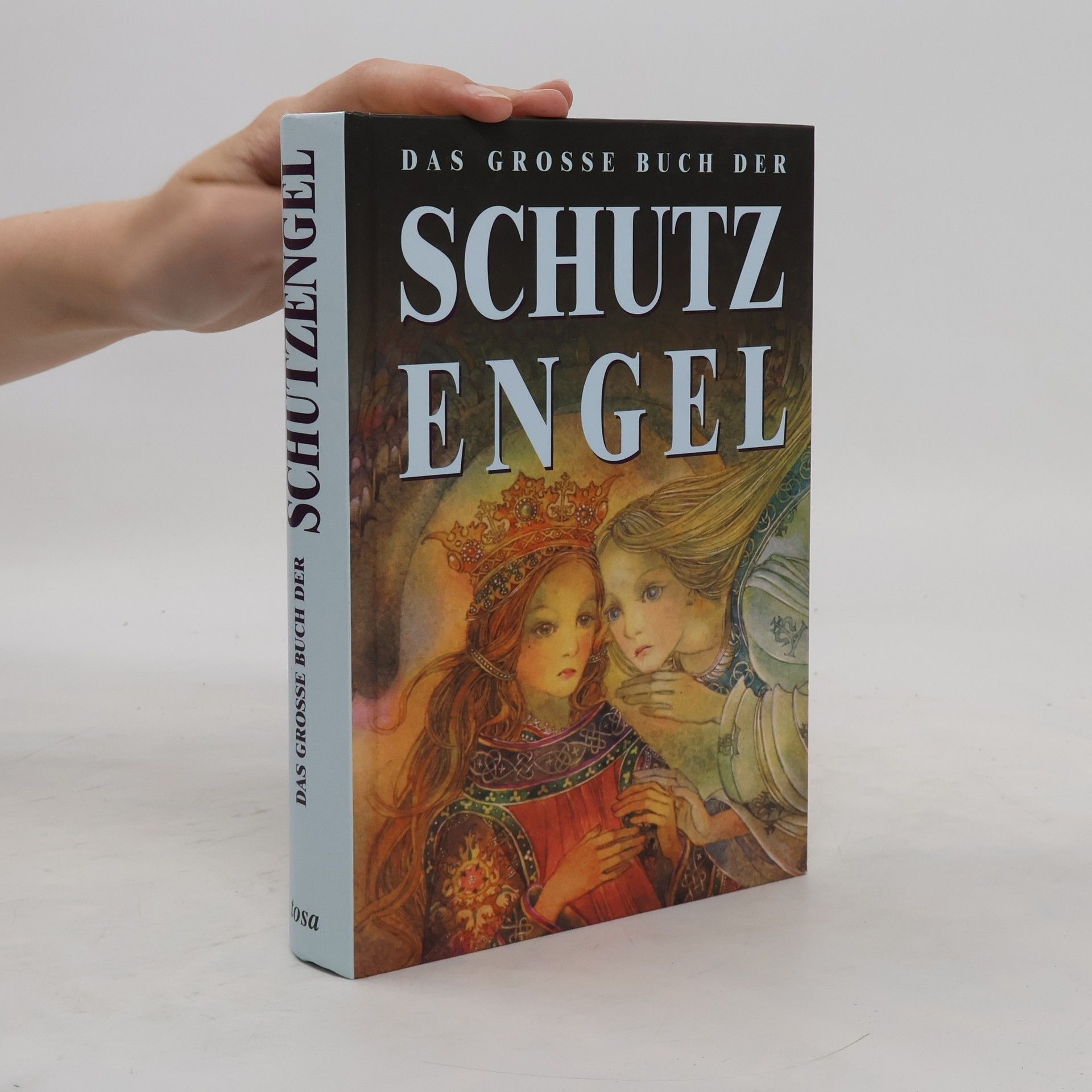 Peter Michel Das große Buch der Schutzengel