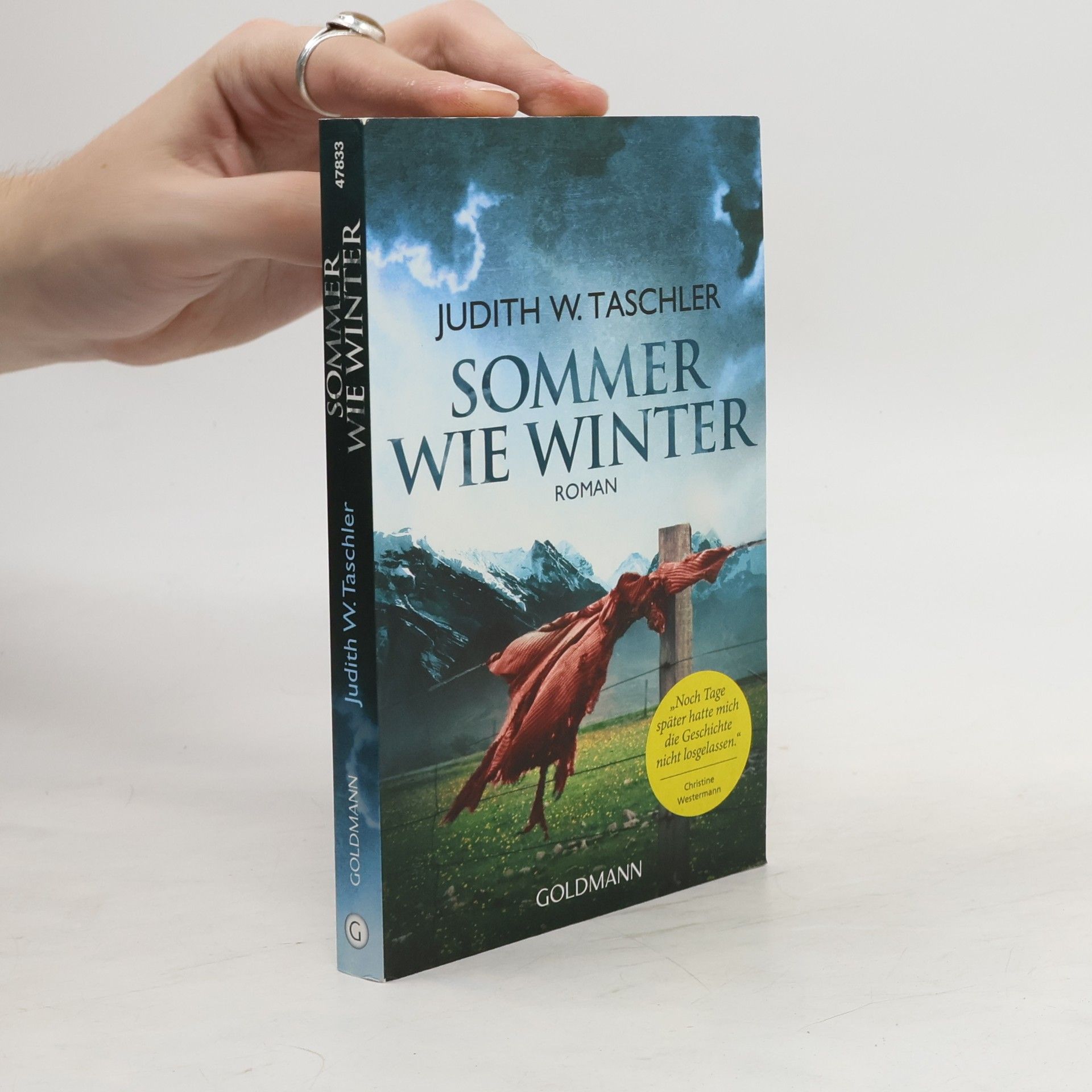 Judith Taschler Sommer wie Winter