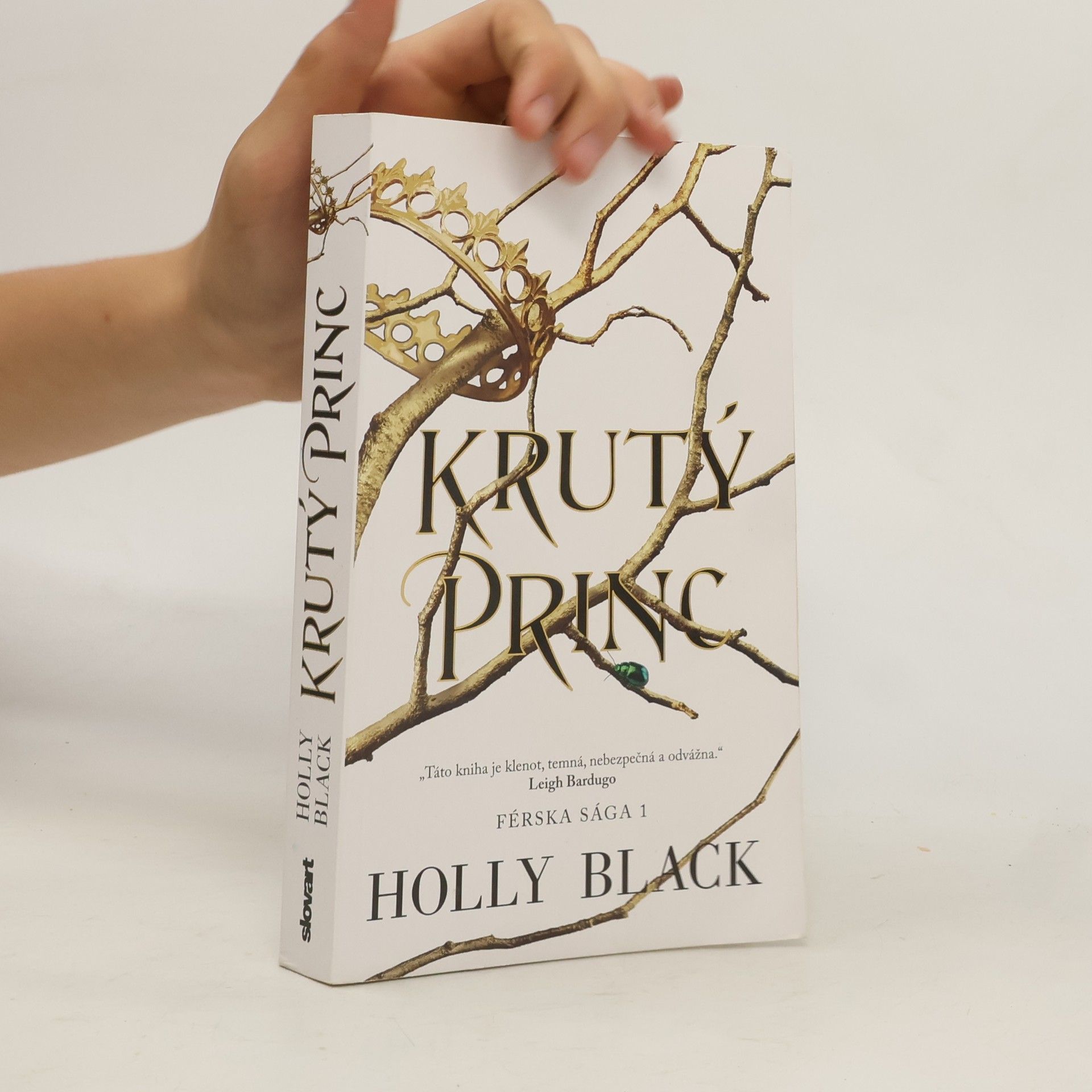 Holly Black Krutý princ