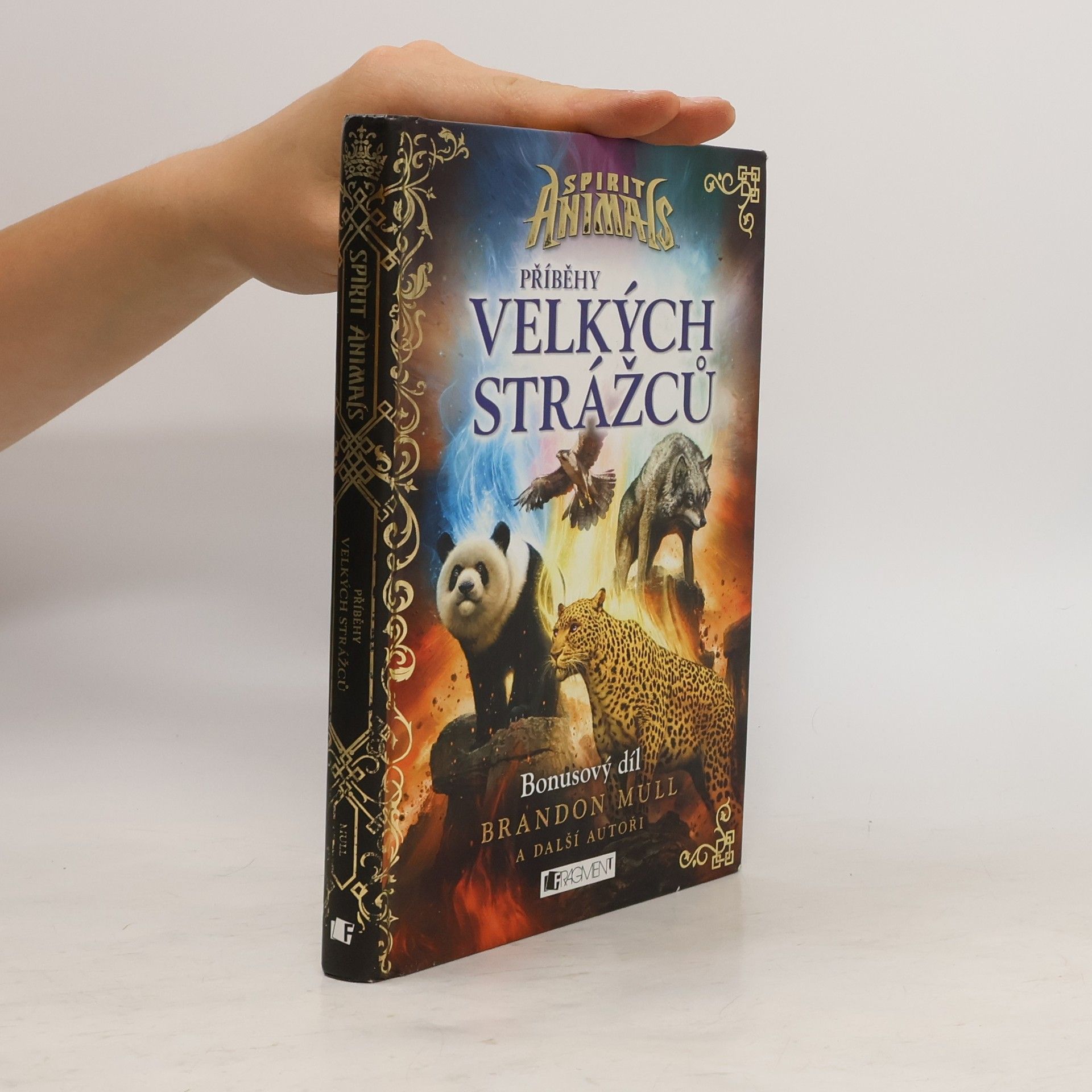 Brandon Mull Příběhy Velkých strážců
