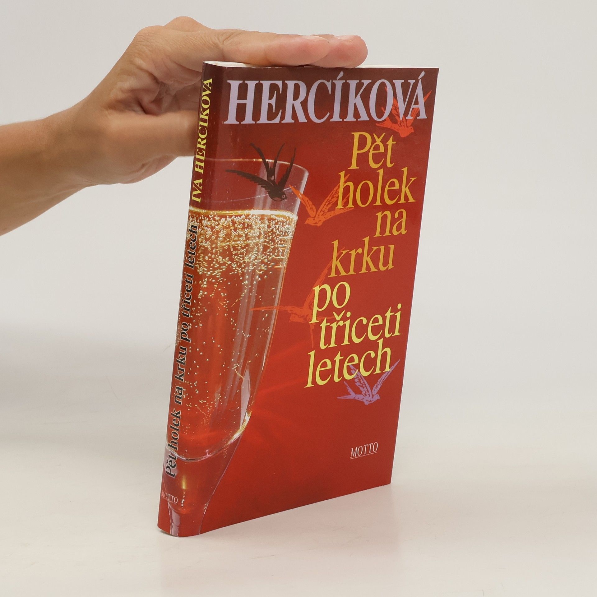 Iva Hercíková Pět holek na krku po třiceti letech