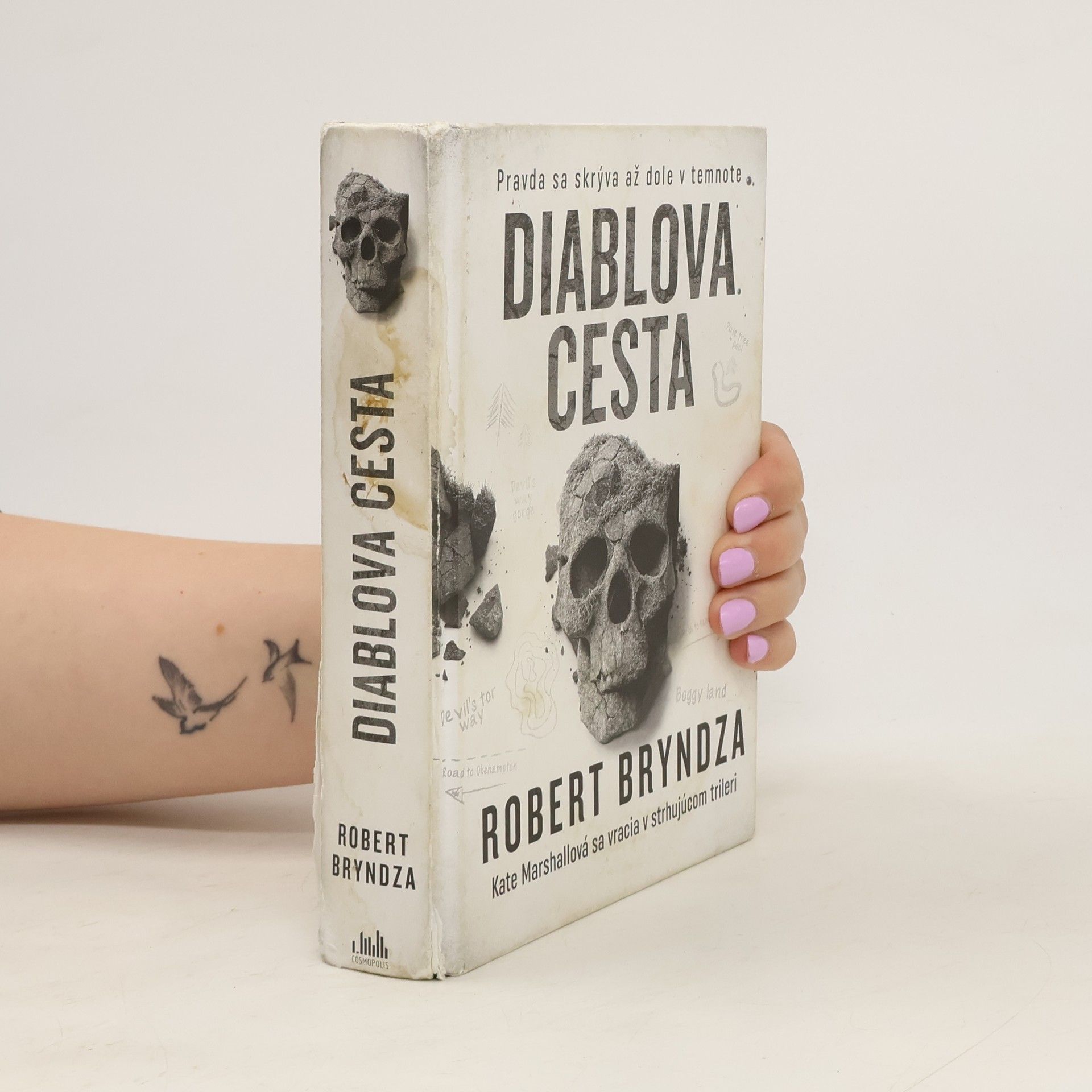 Robert Bryndza Diablova cesta