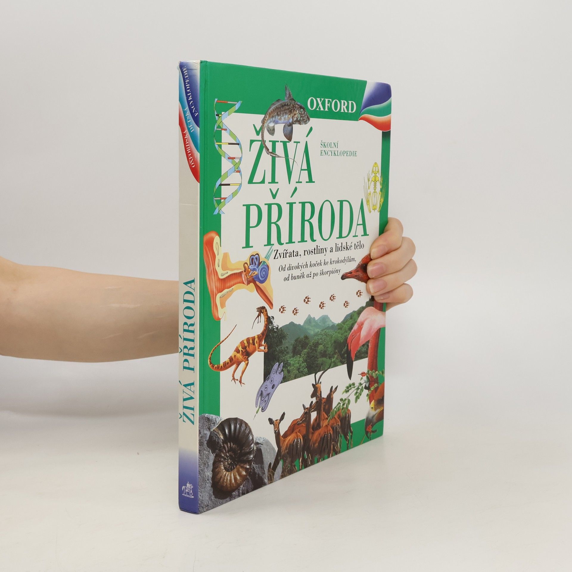 Markéta Hadačová Živá příroda