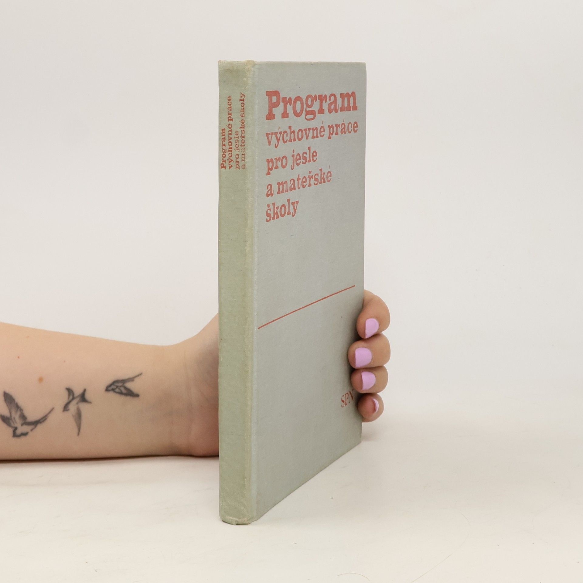 Collectif d'auteurs Program výchovné práce pro jesle a mateřské školy