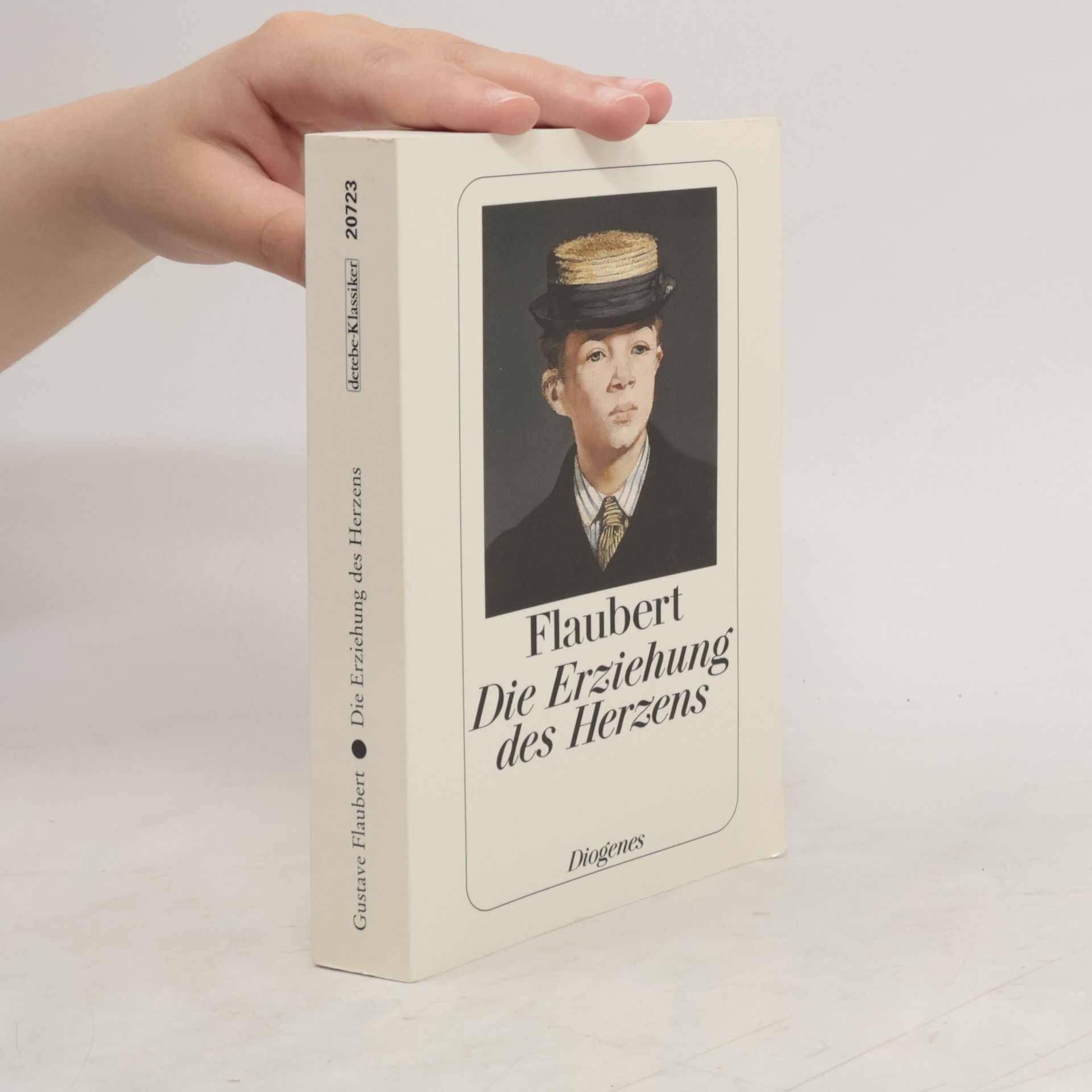 Gustave Flaubert Die Erziehung des Herzens