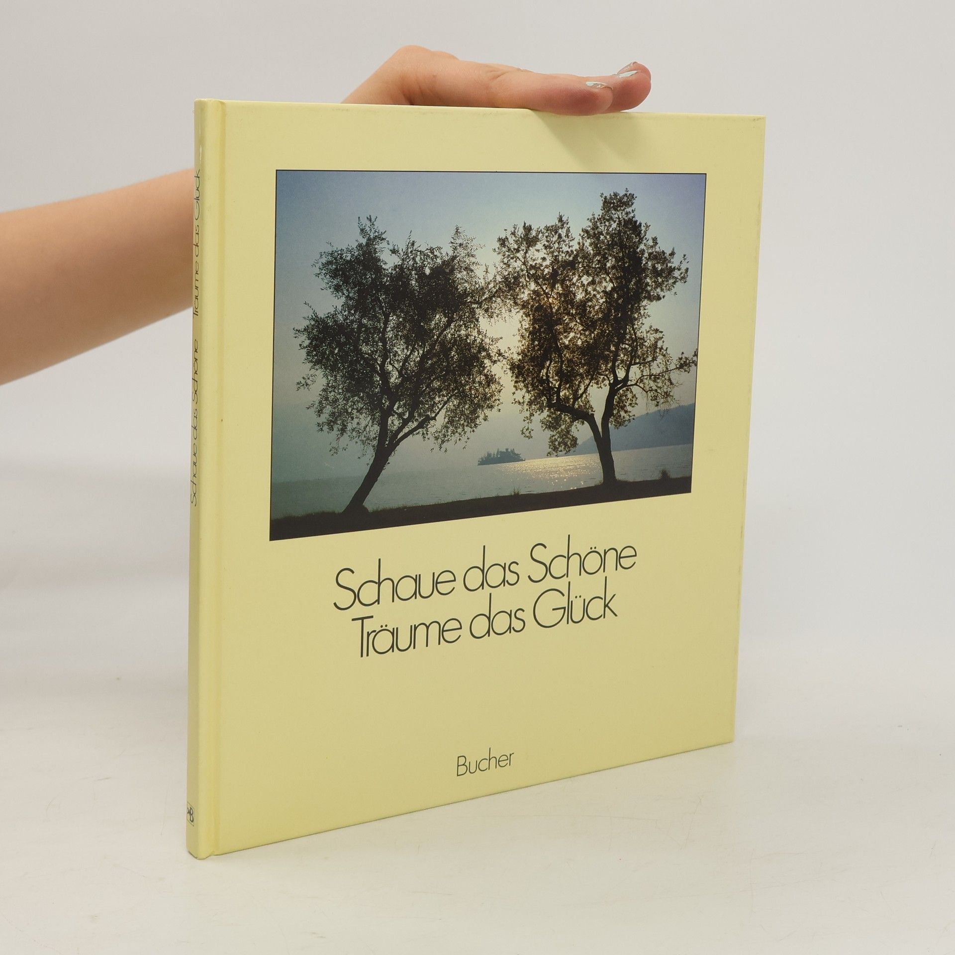 Kolektiv autorů Schaue das Schöne, träume das Glück