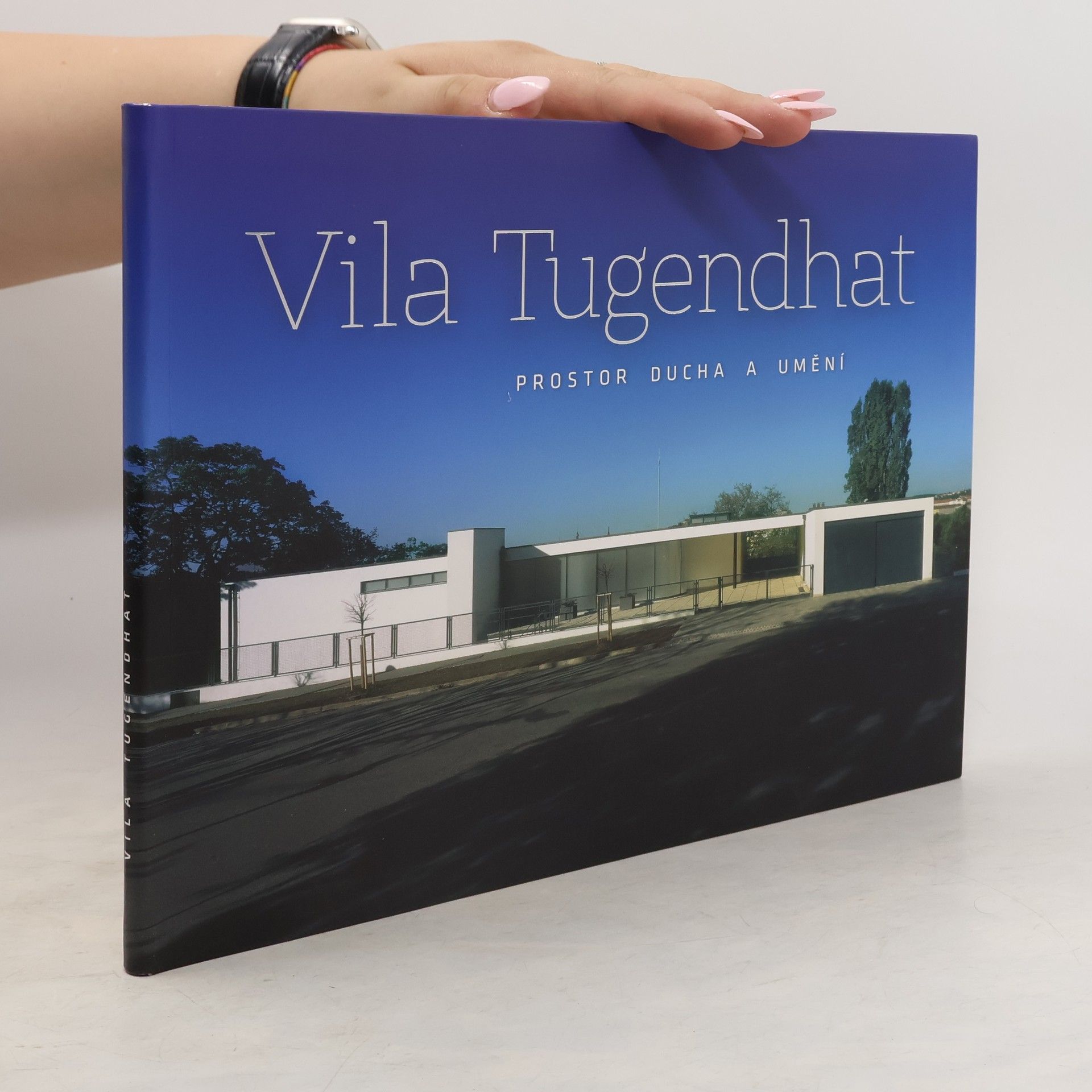 Jan Sedlák Vila Tugendhat - Prostor ducha a umění