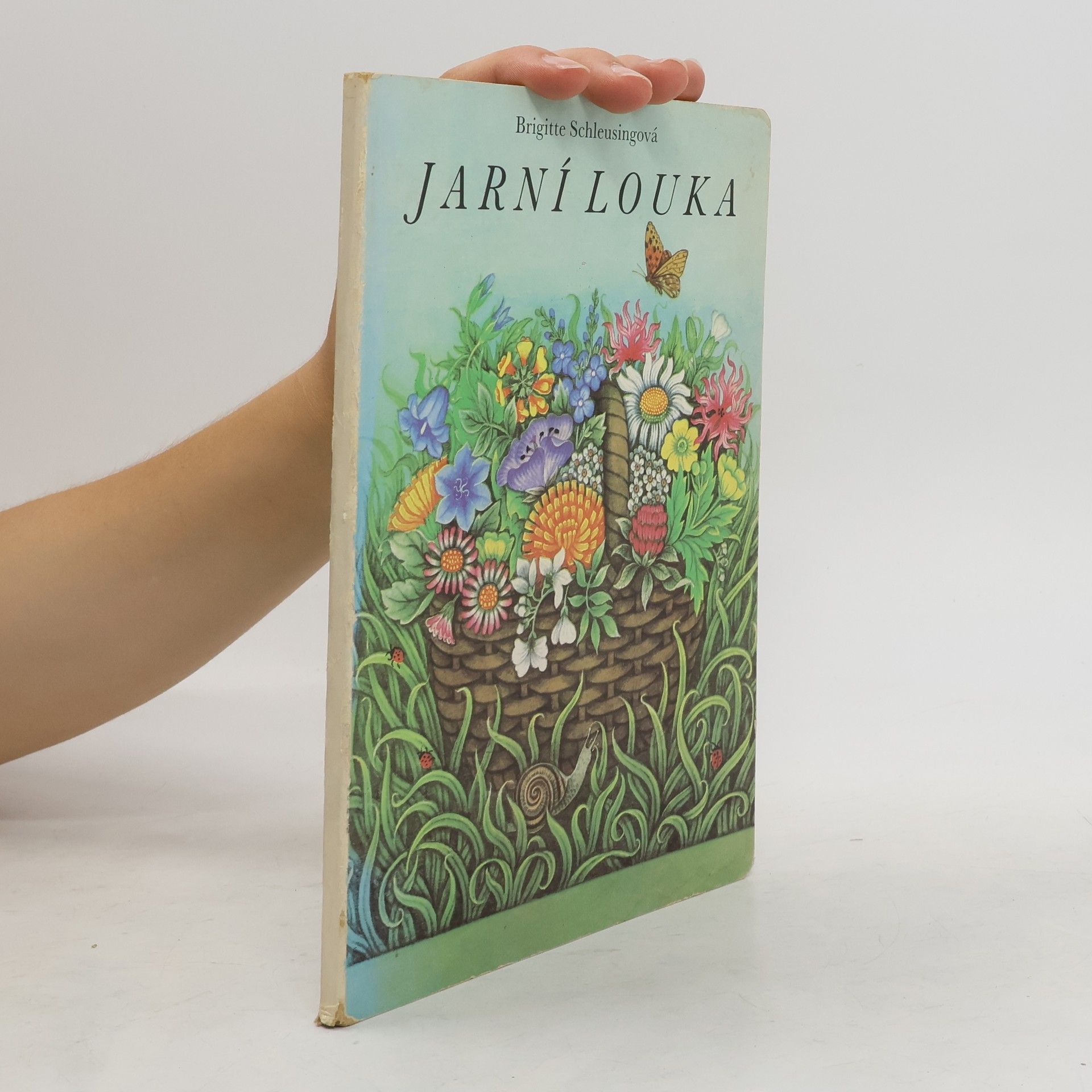 Brigitte Schleusing Jarní louka