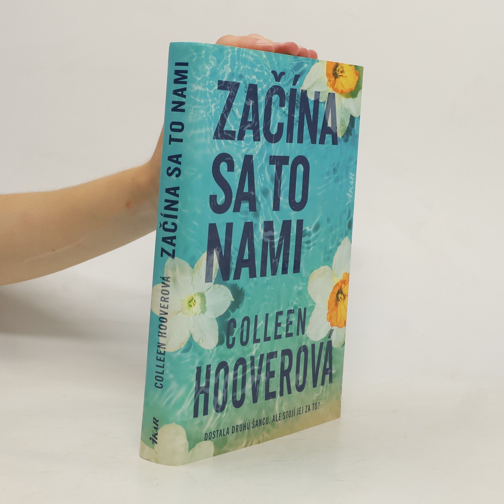 Colleen Hoover Začína sa to nami